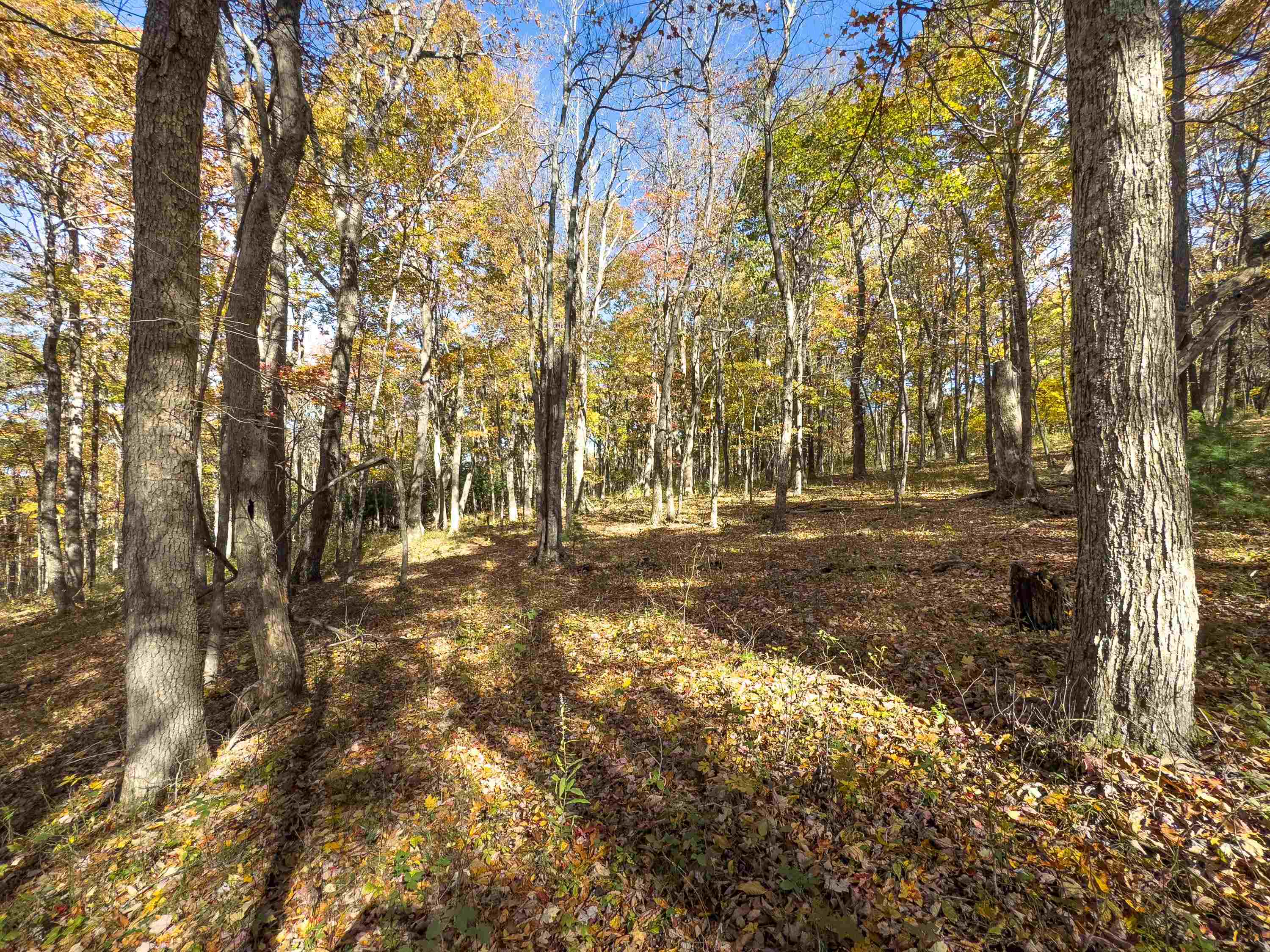 00 Belcher Mountain Road Meadows Of Dan VA 24120