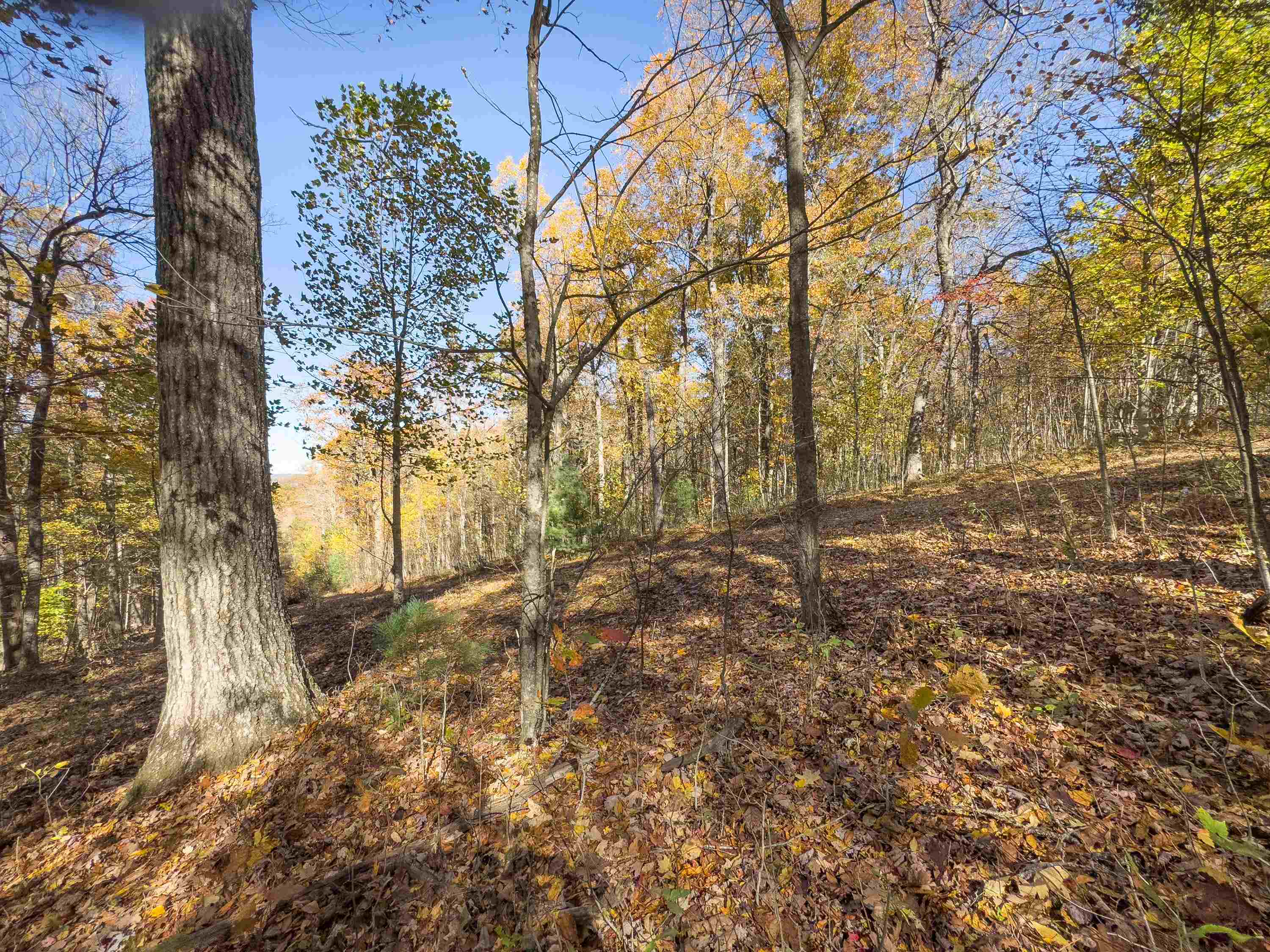 00 Belcher Mountain Road Meadows Of Dan VA 24120