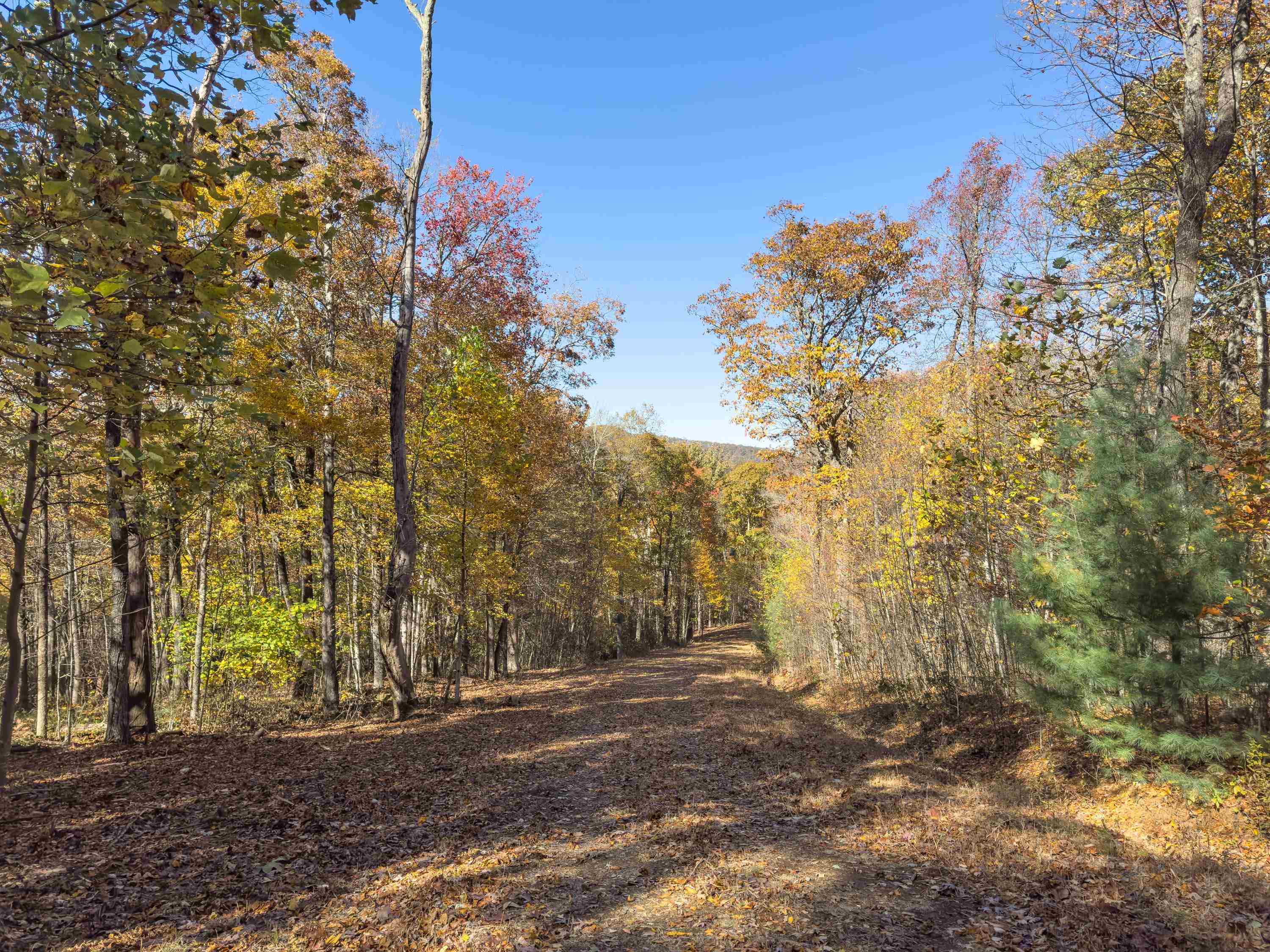 00 Belcher Mountain Road Meadows Of Dan VA 24120