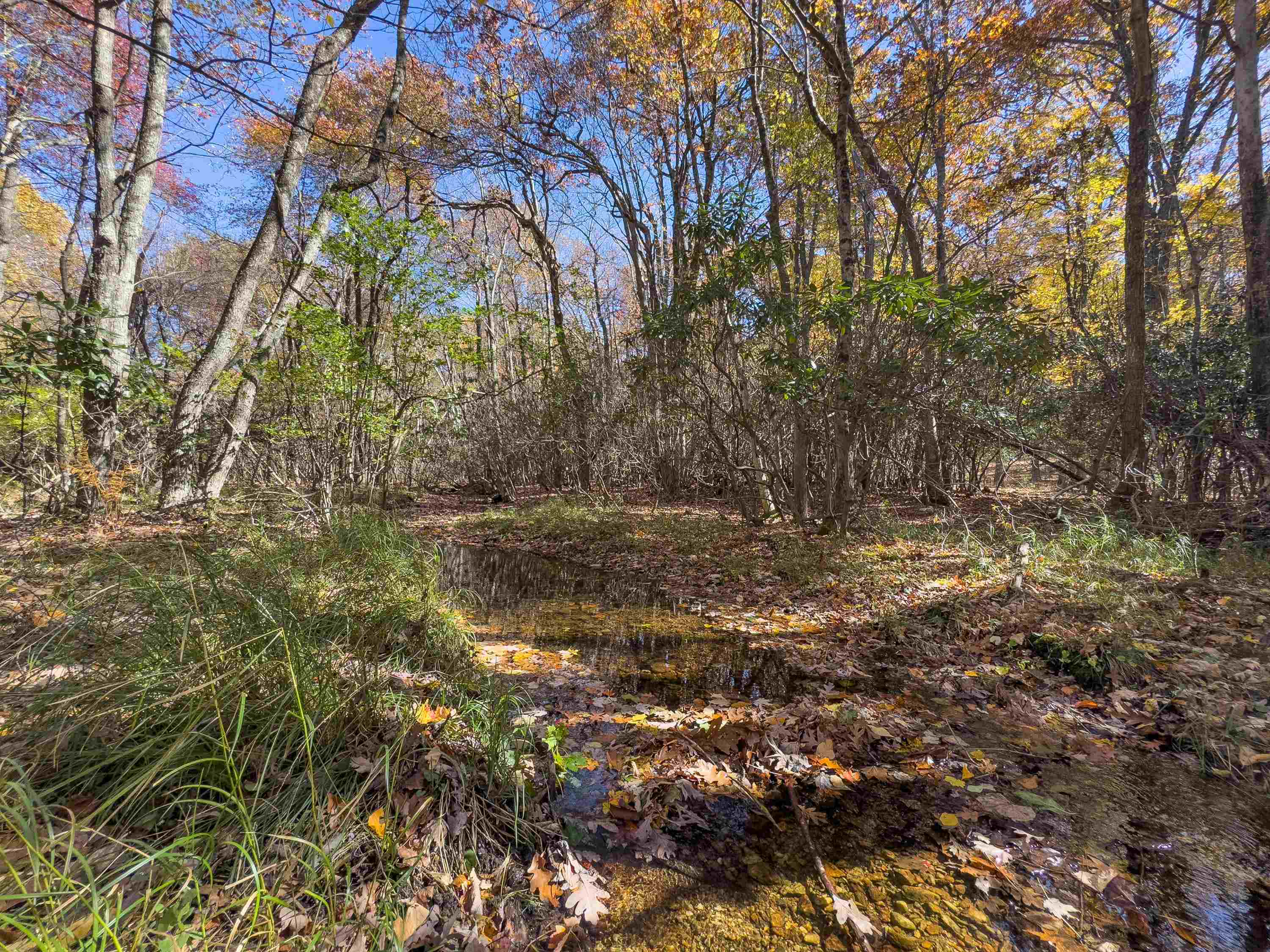 00 Belcher Mountain Road Meadows Of Dan VA 24120