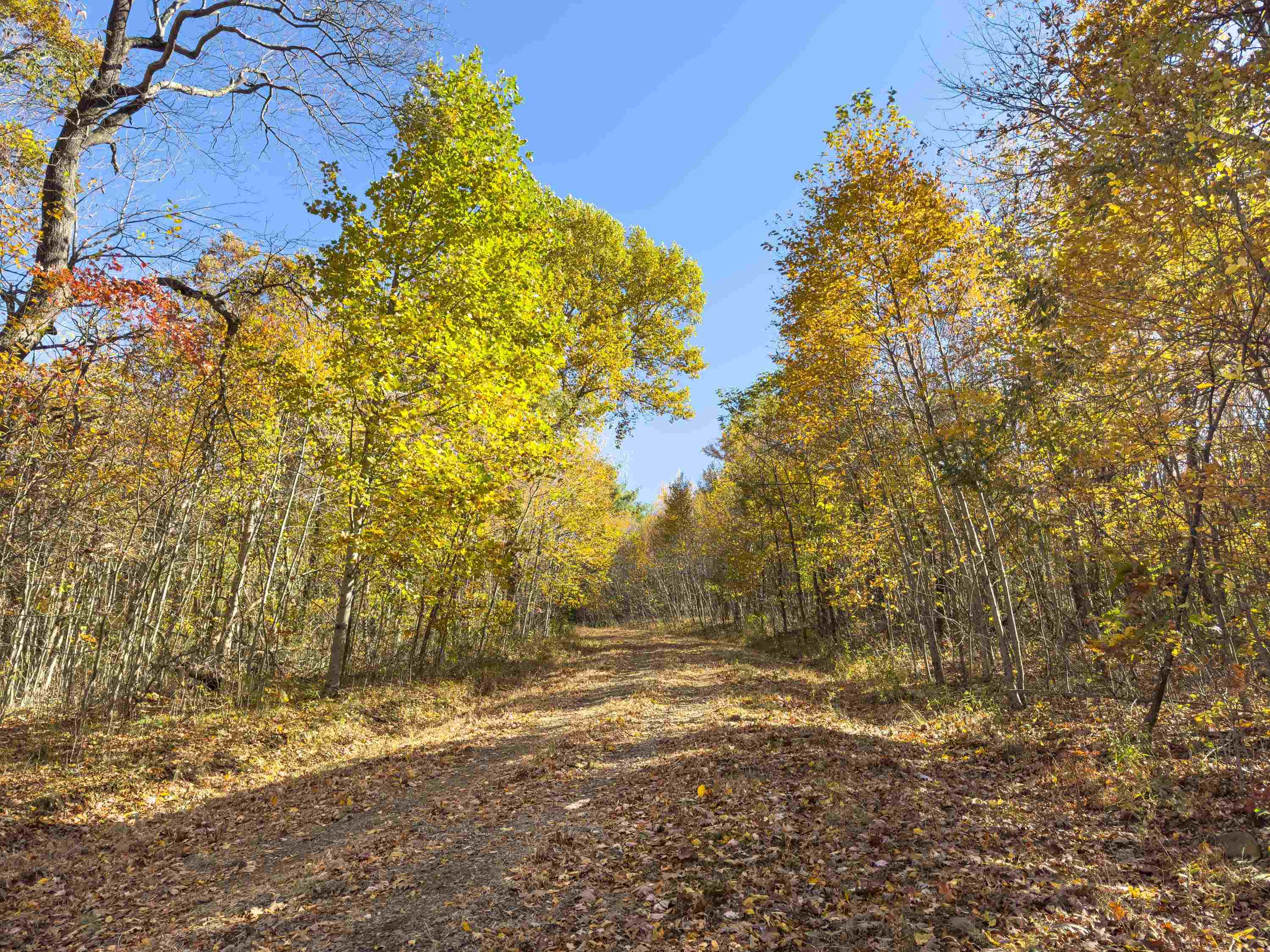 00 Belcher Mountain Road Meadows Of Dan VA 24120