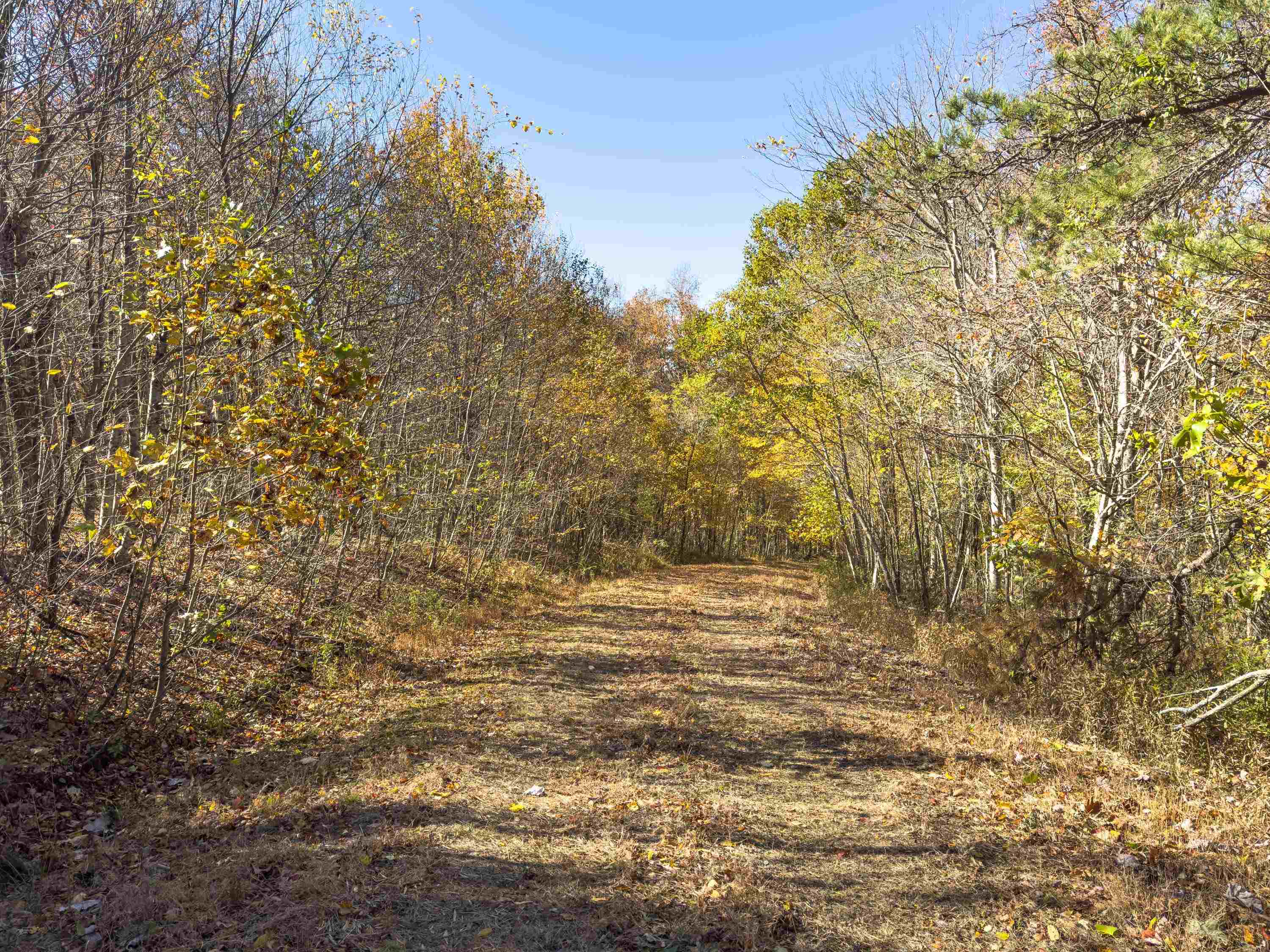 00 Belcher Mountain Road Meadows Of Dan VA 24120