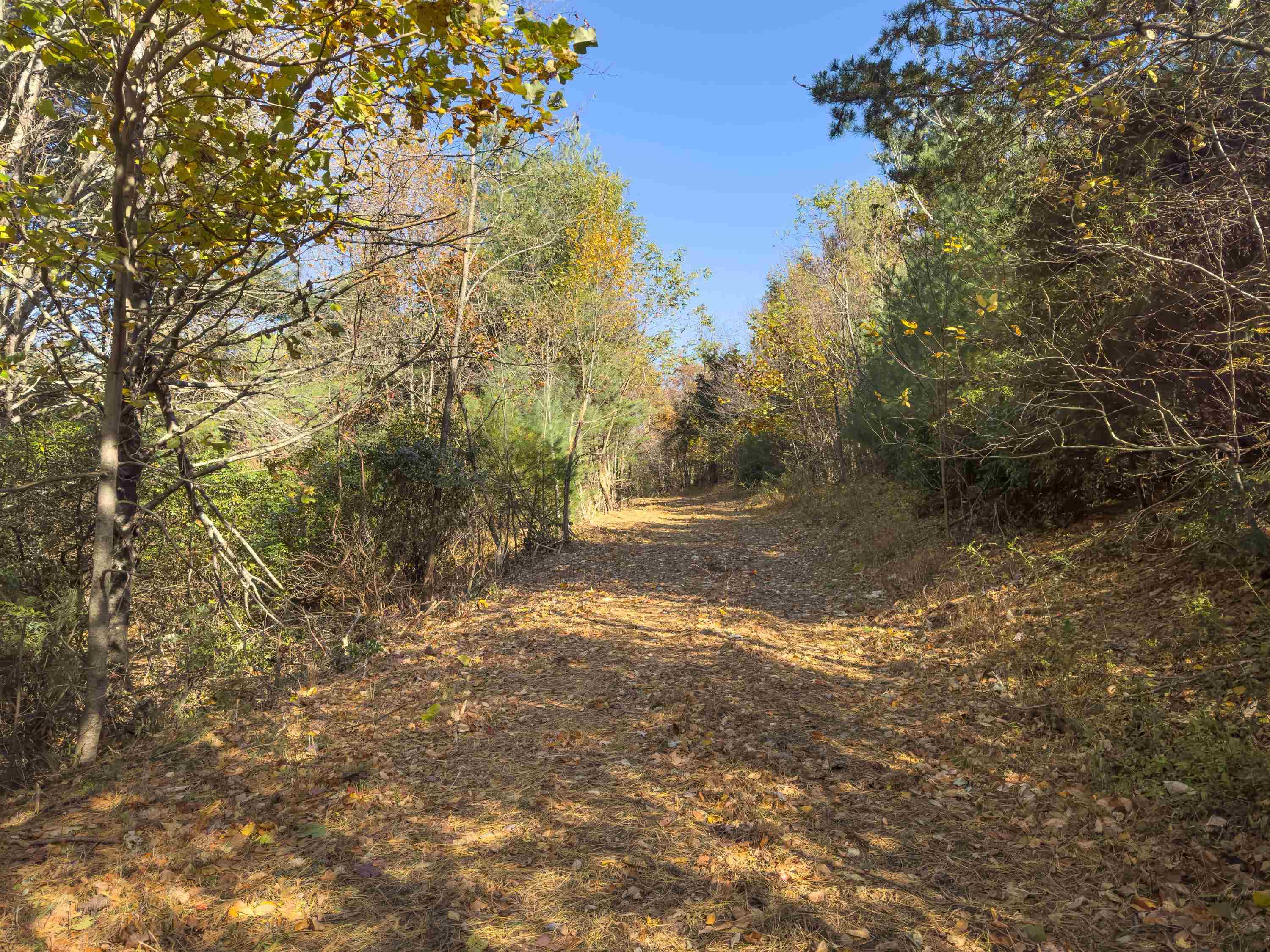 00 Belcher Mountain Road Meadows Of Dan VA 24120