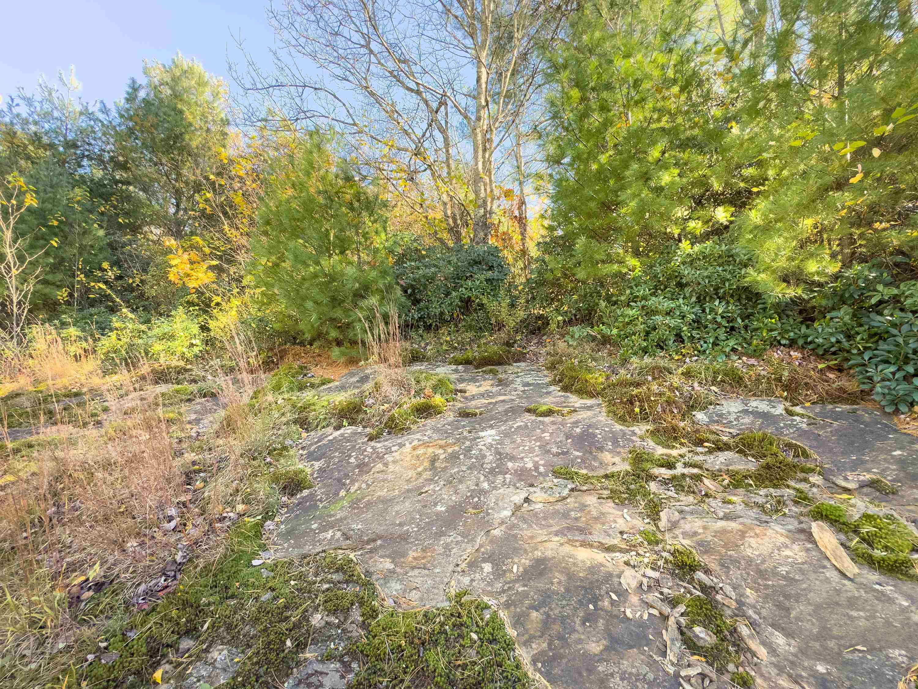 00 Belcher Mountain Road Meadows Of Dan VA 24120