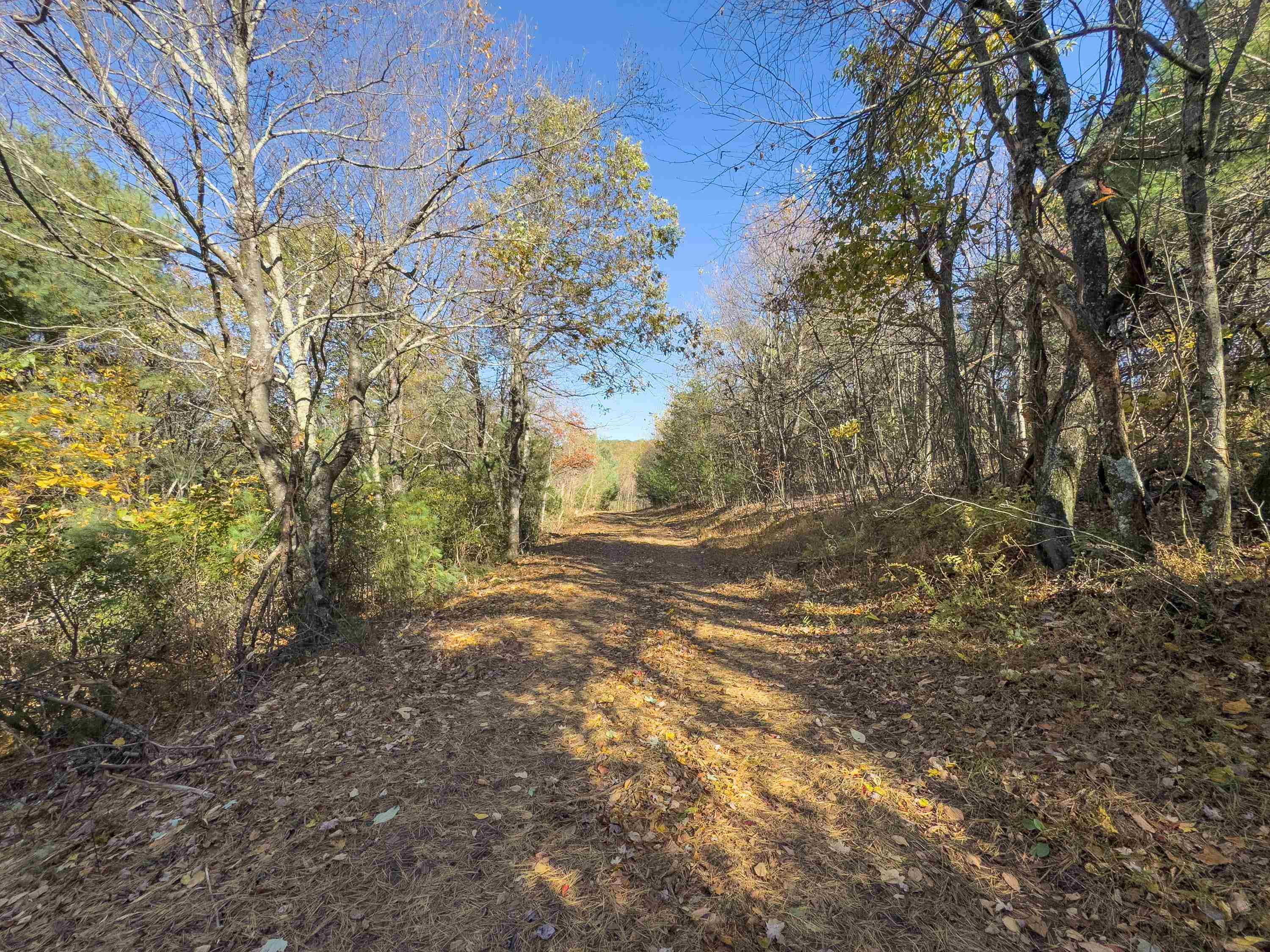 00 Belcher Mountain Road Meadows Of Dan VA 24120