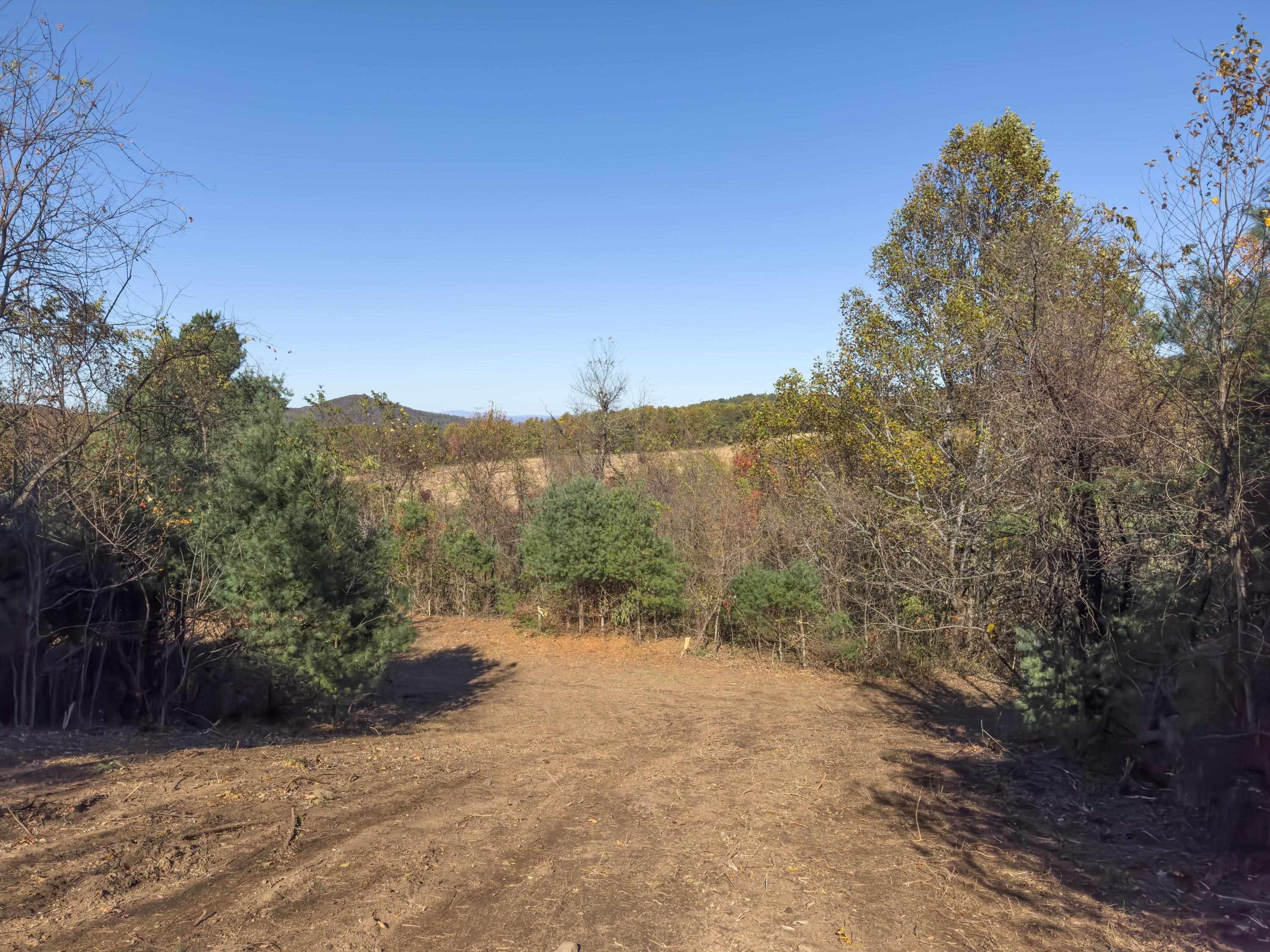 00 Belcher Mountain Road Meadows Of Dan VA 24120