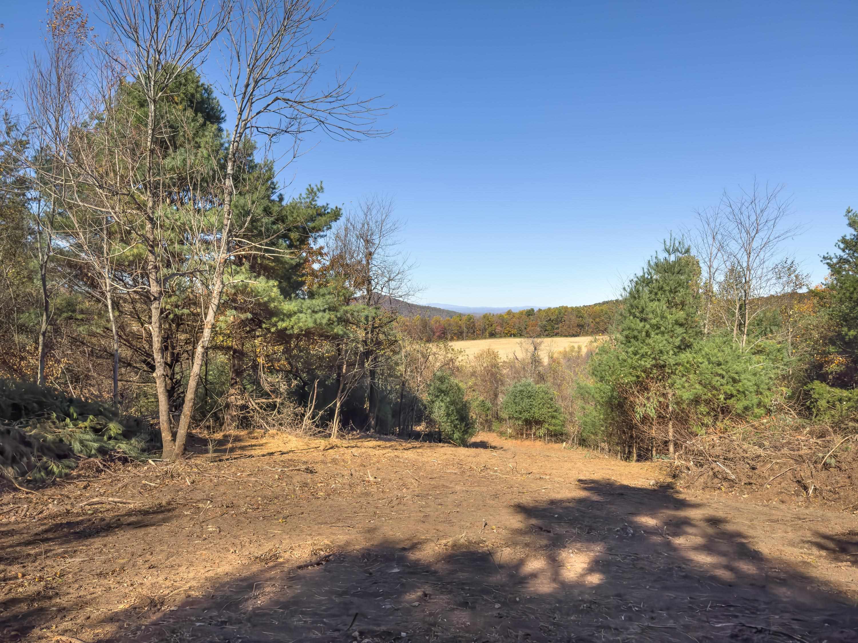 00 Belcher Mountain Road Meadows Of Dan VA 24120