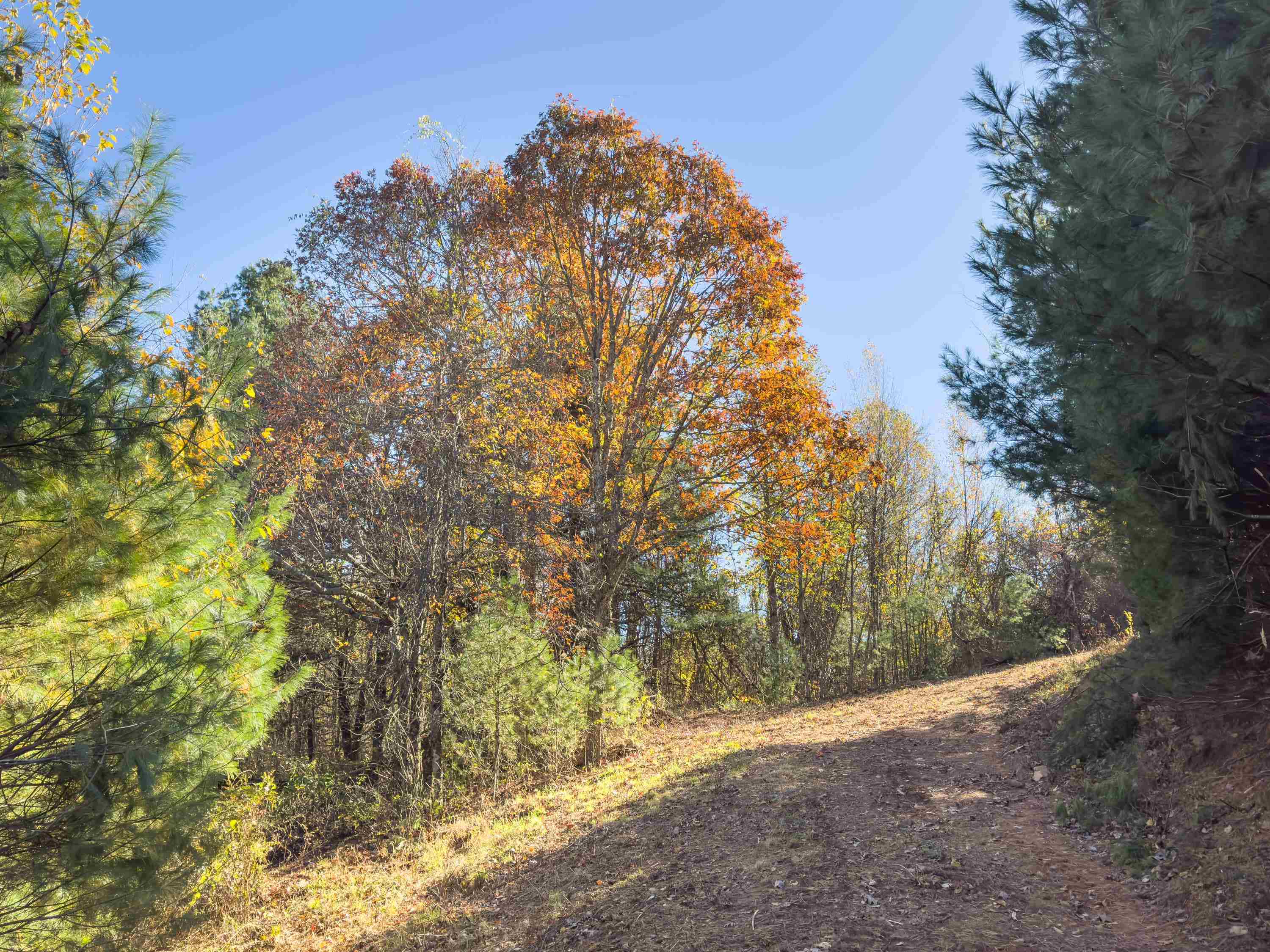 00 Belcher Mountain Road Meadows Of Dan VA 24120