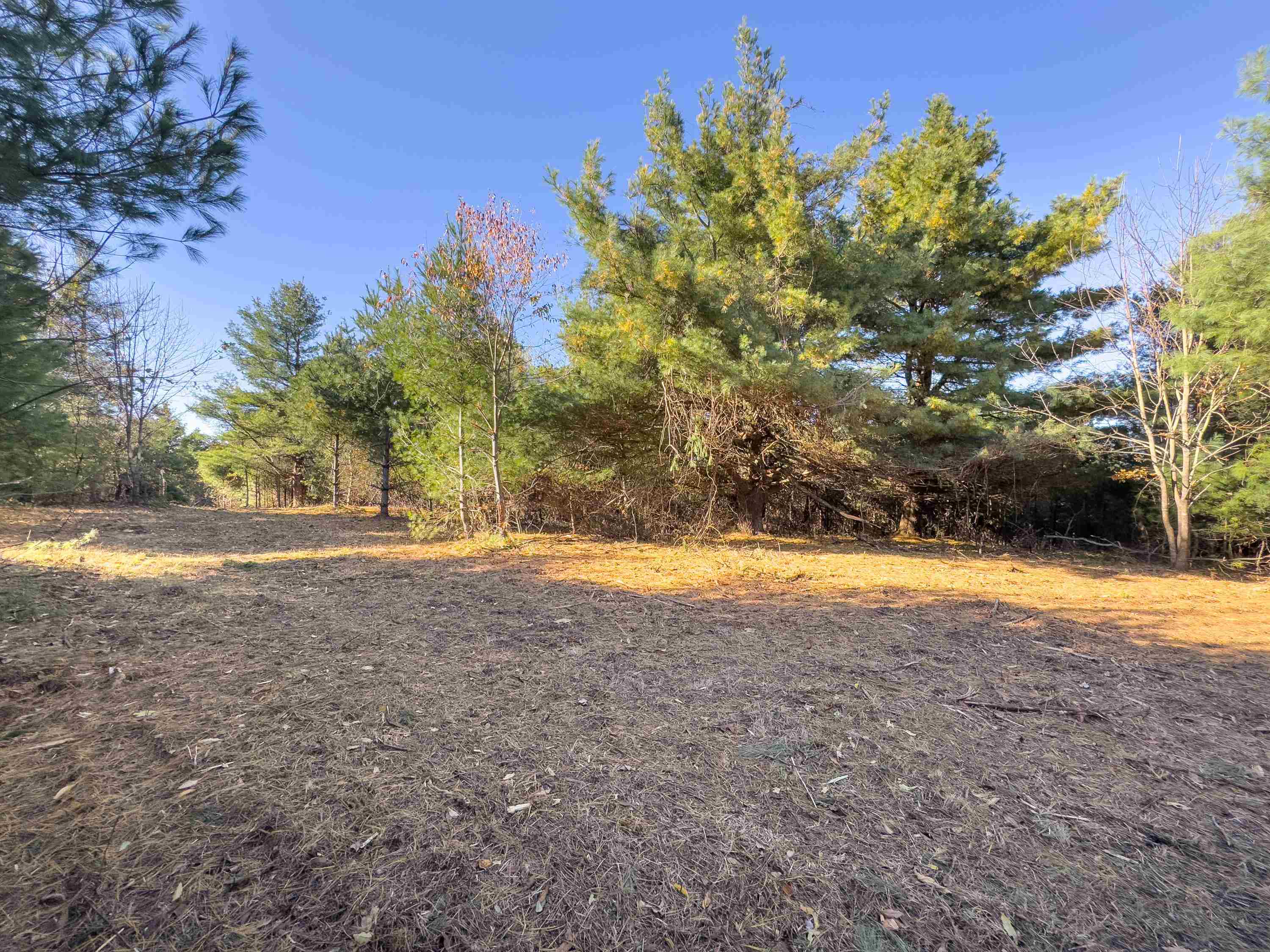 00 Belcher Mountain Road Meadows Of Dan VA 24120