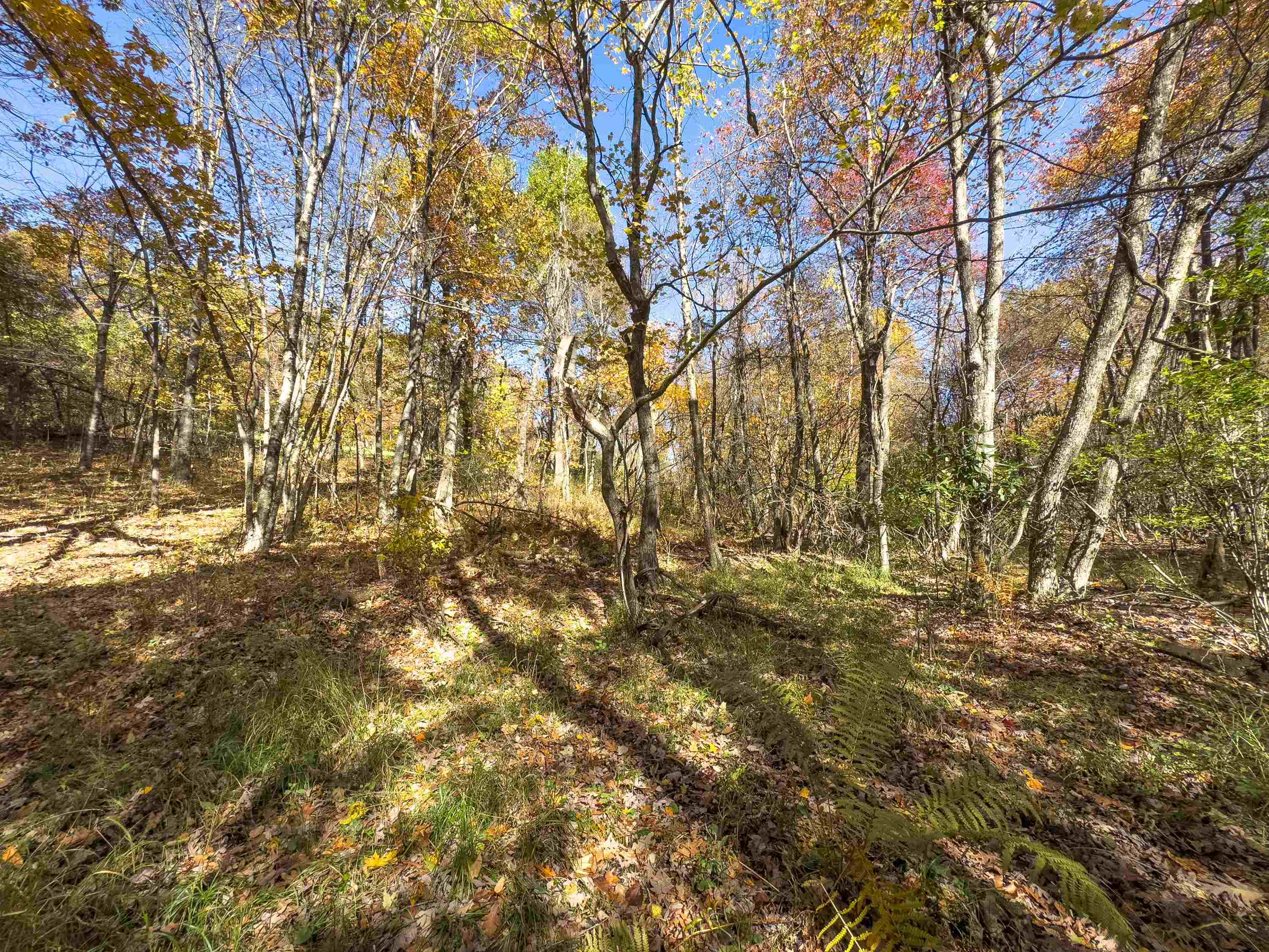 00 Belcher Mountain Road Meadows Of Dan VA 24120