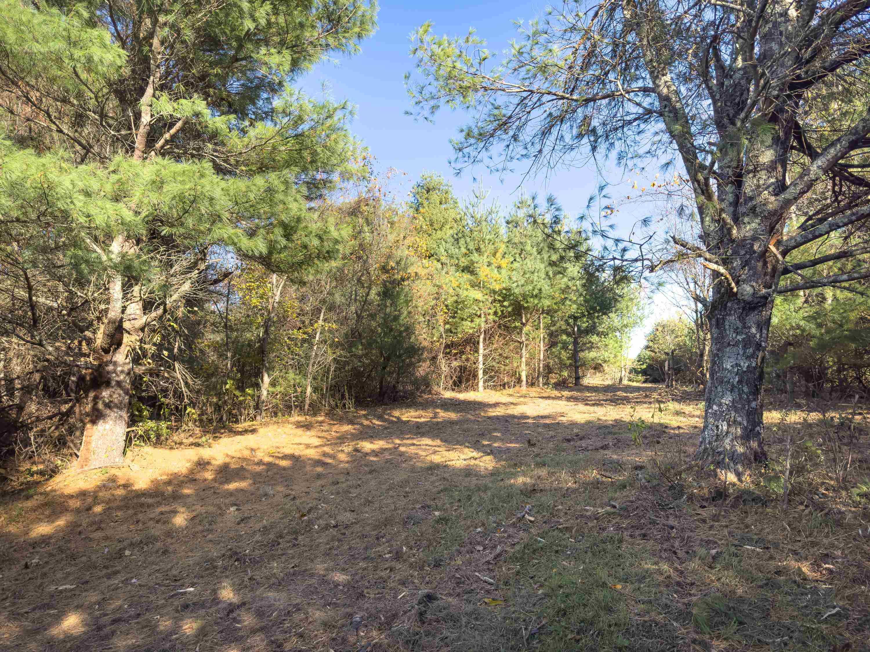 00 Belcher Mountain Road Meadows Of Dan VA 24120