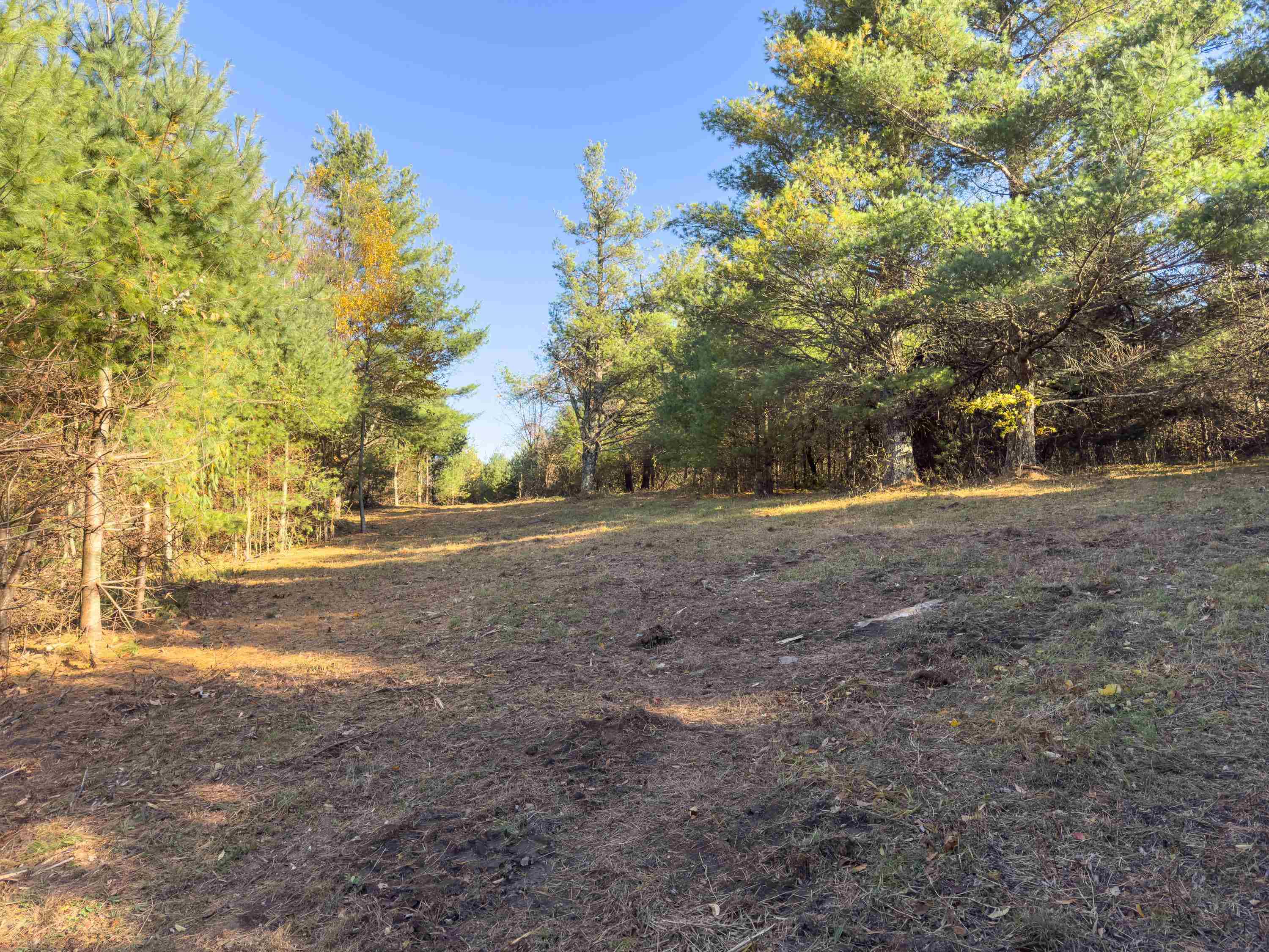 00 Belcher Mountain Road Meadows Of Dan VA 24120