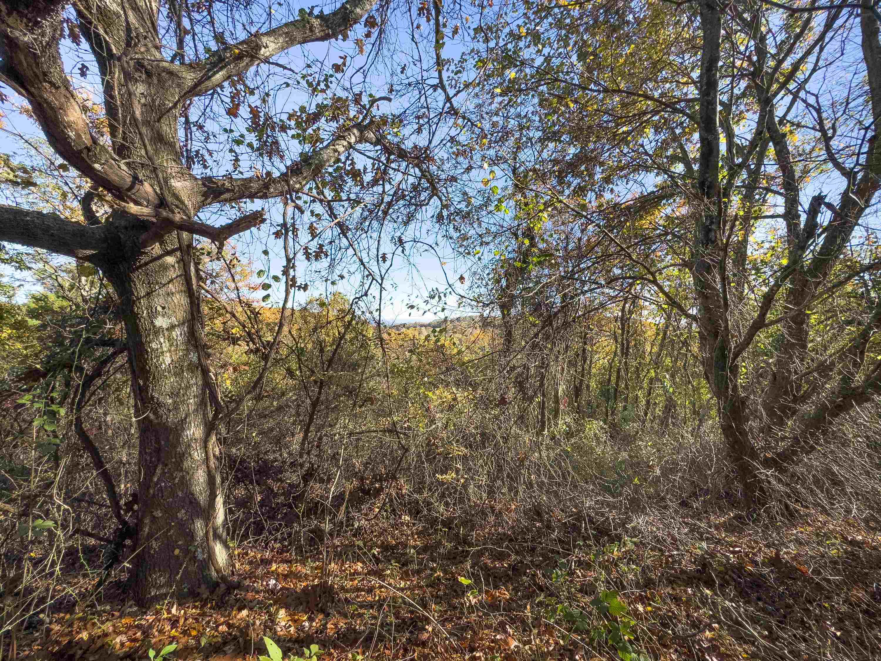 00 Belcher Mountain Road Meadows Of Dan VA 24120