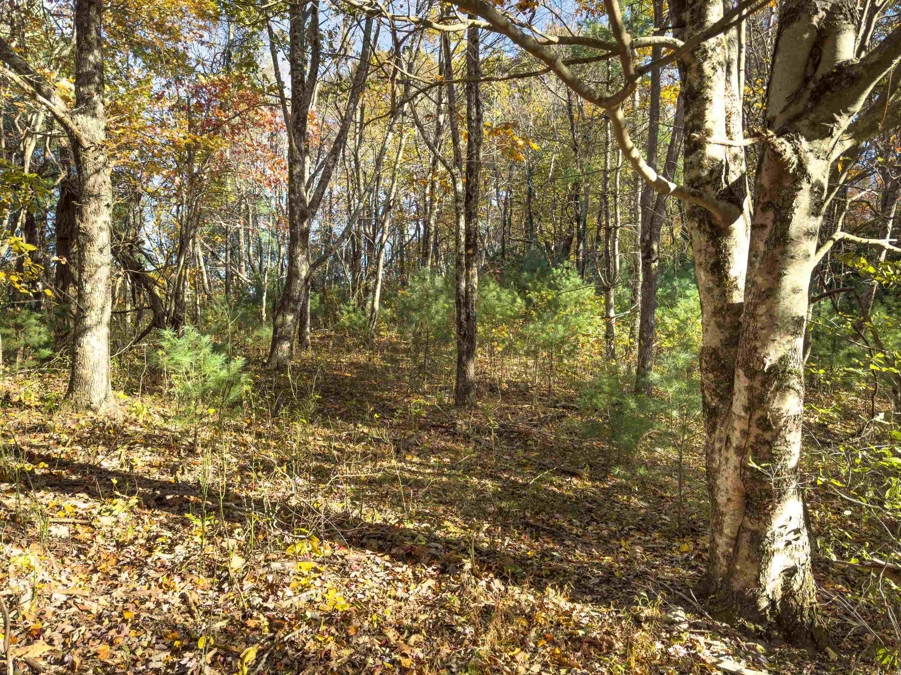 00 Belcher Mountain Road Meadows Of Dan VA 24120