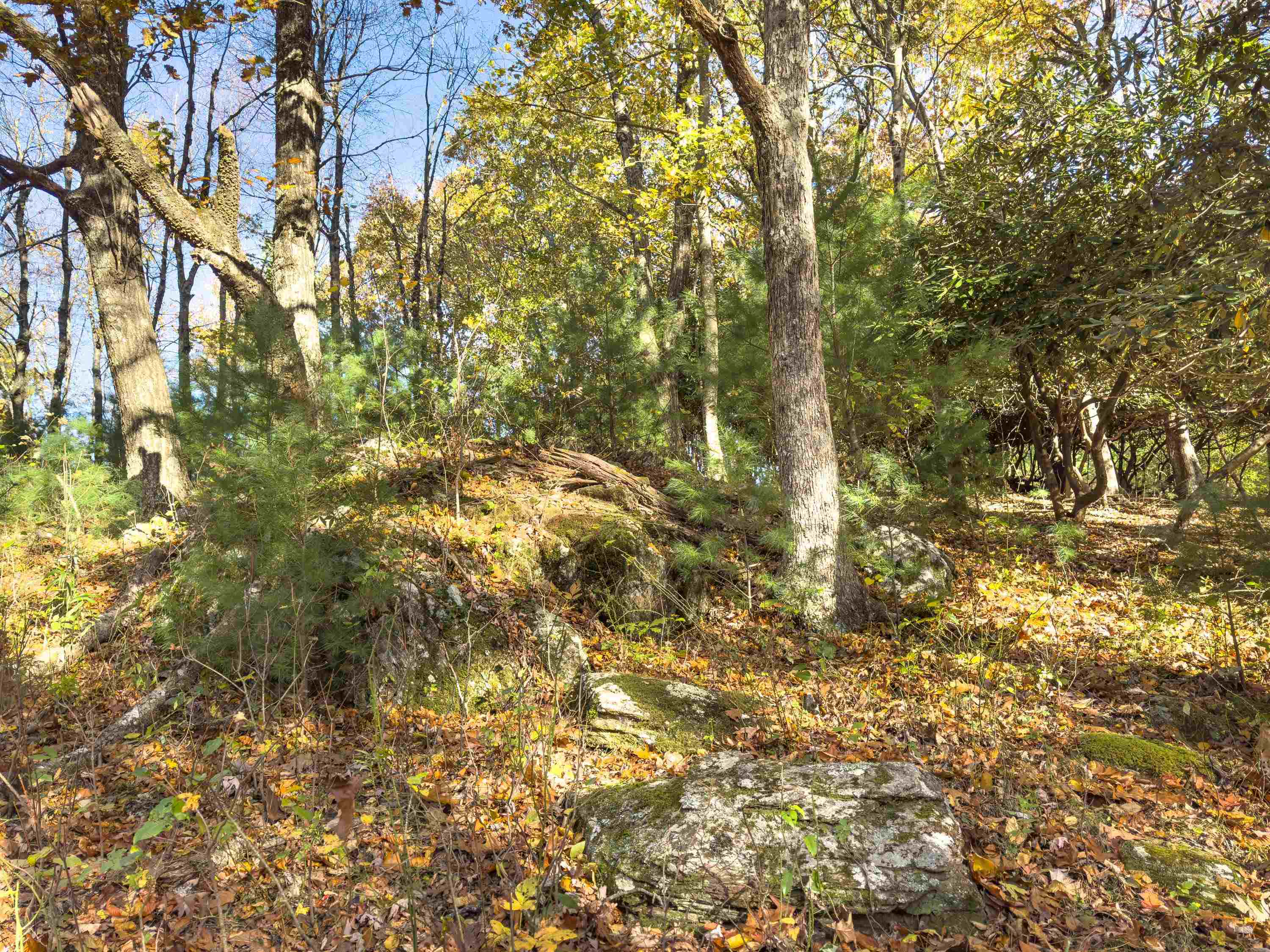 00 Belcher Mountain Road Meadows Of Dan VA 24120