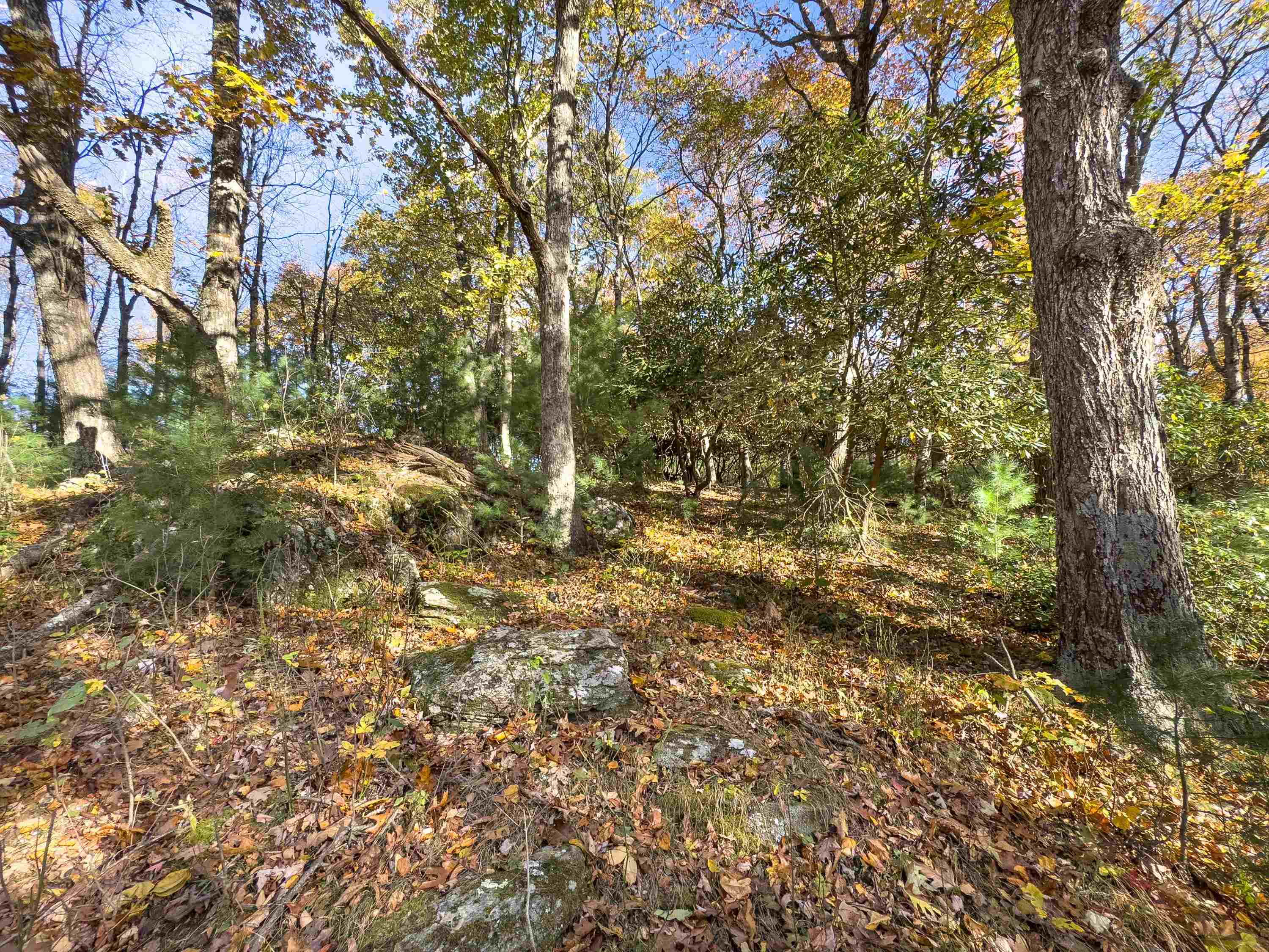 00 Belcher Mountain Road Meadows Of Dan VA 24120