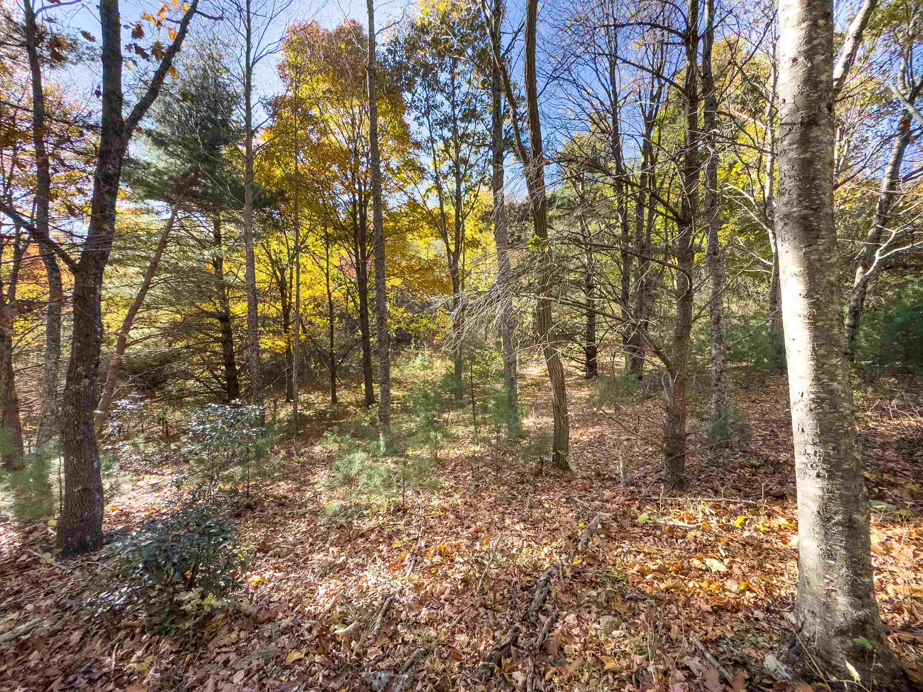 00 Belcher Mountain Road Meadows Of Dan VA 24120