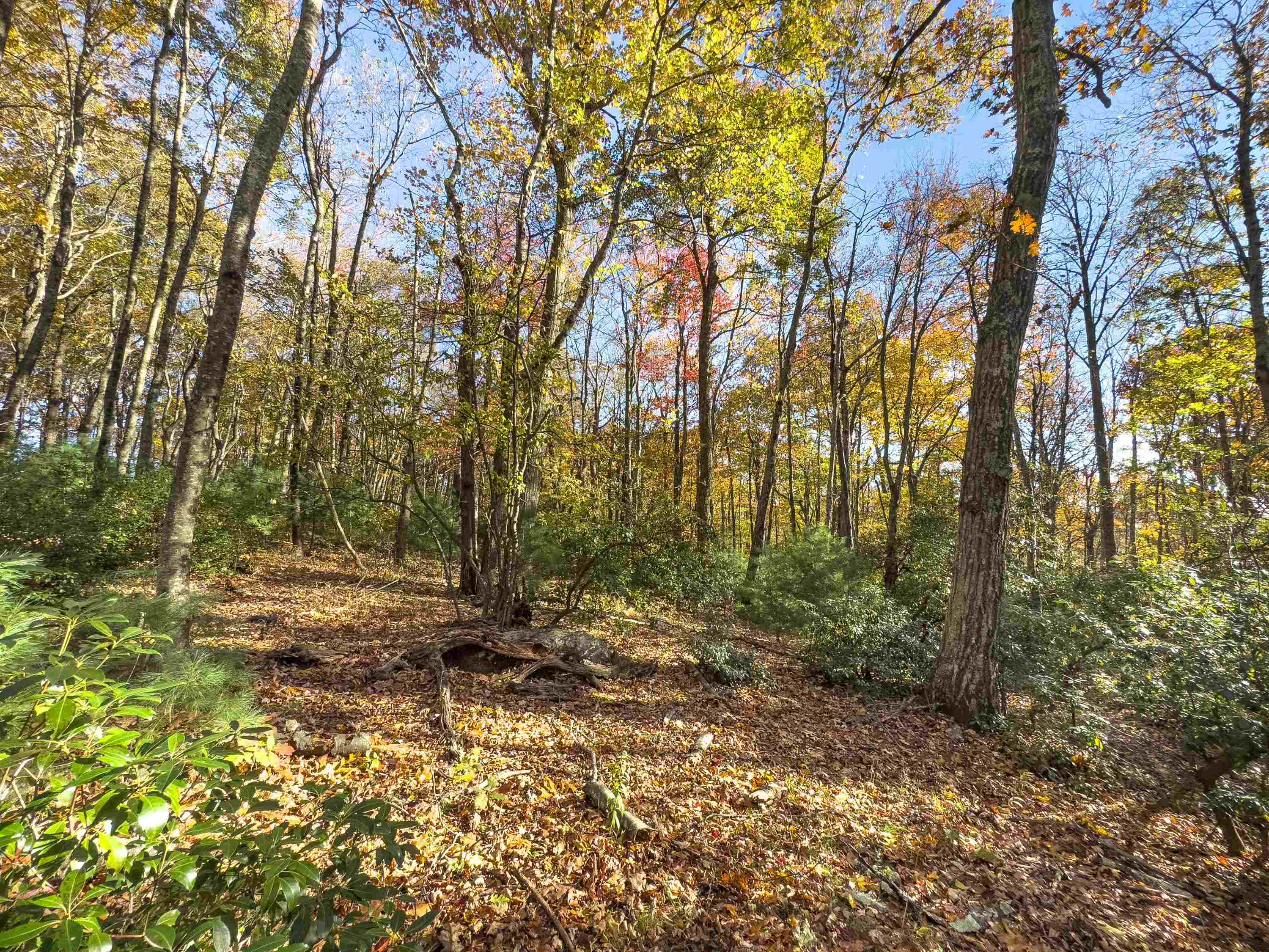 00 Belcher Mountain Road Meadows Of Dan VA 24120