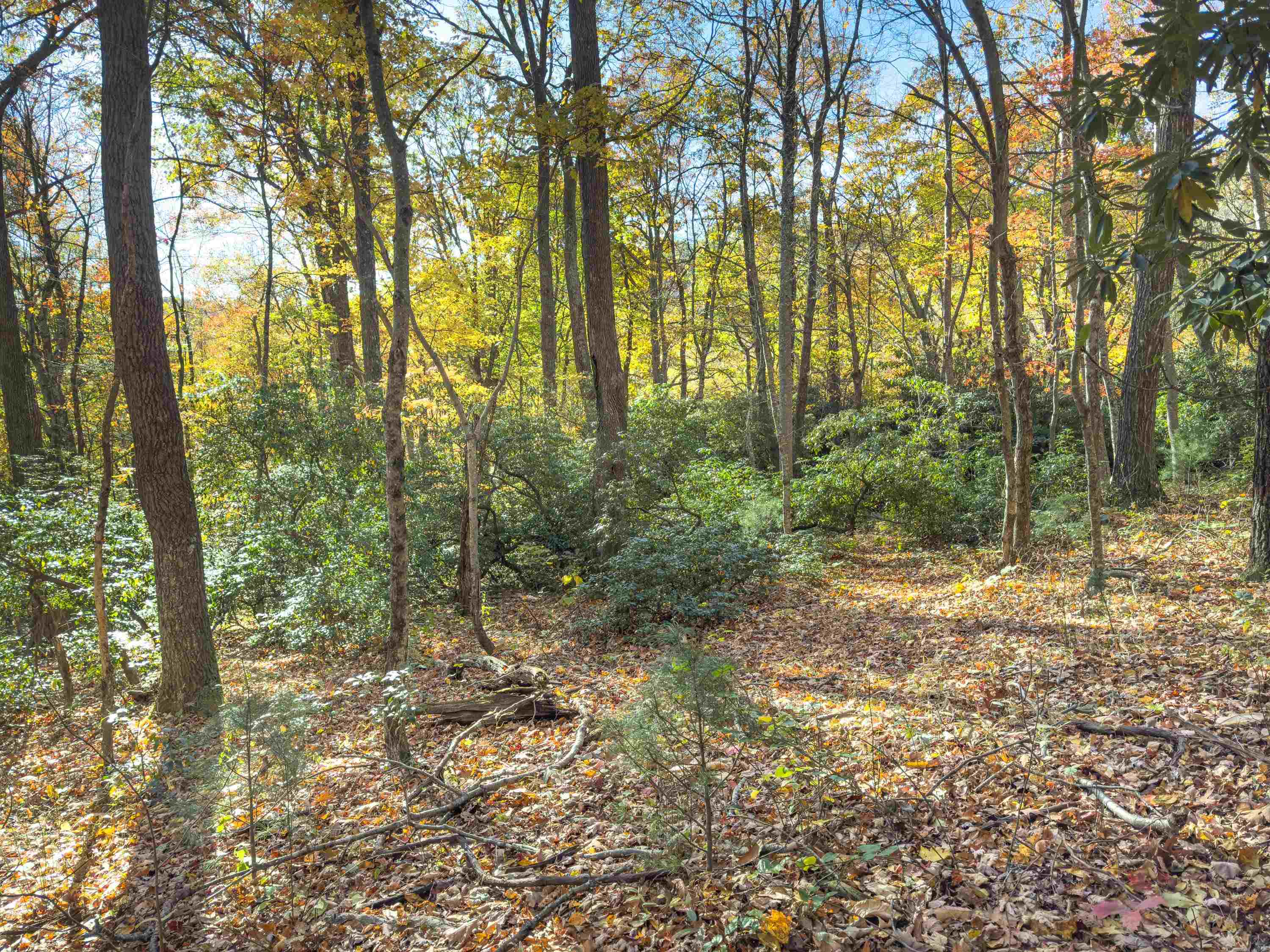 00 Belcher Mountain Road Meadows Of Dan VA 24120