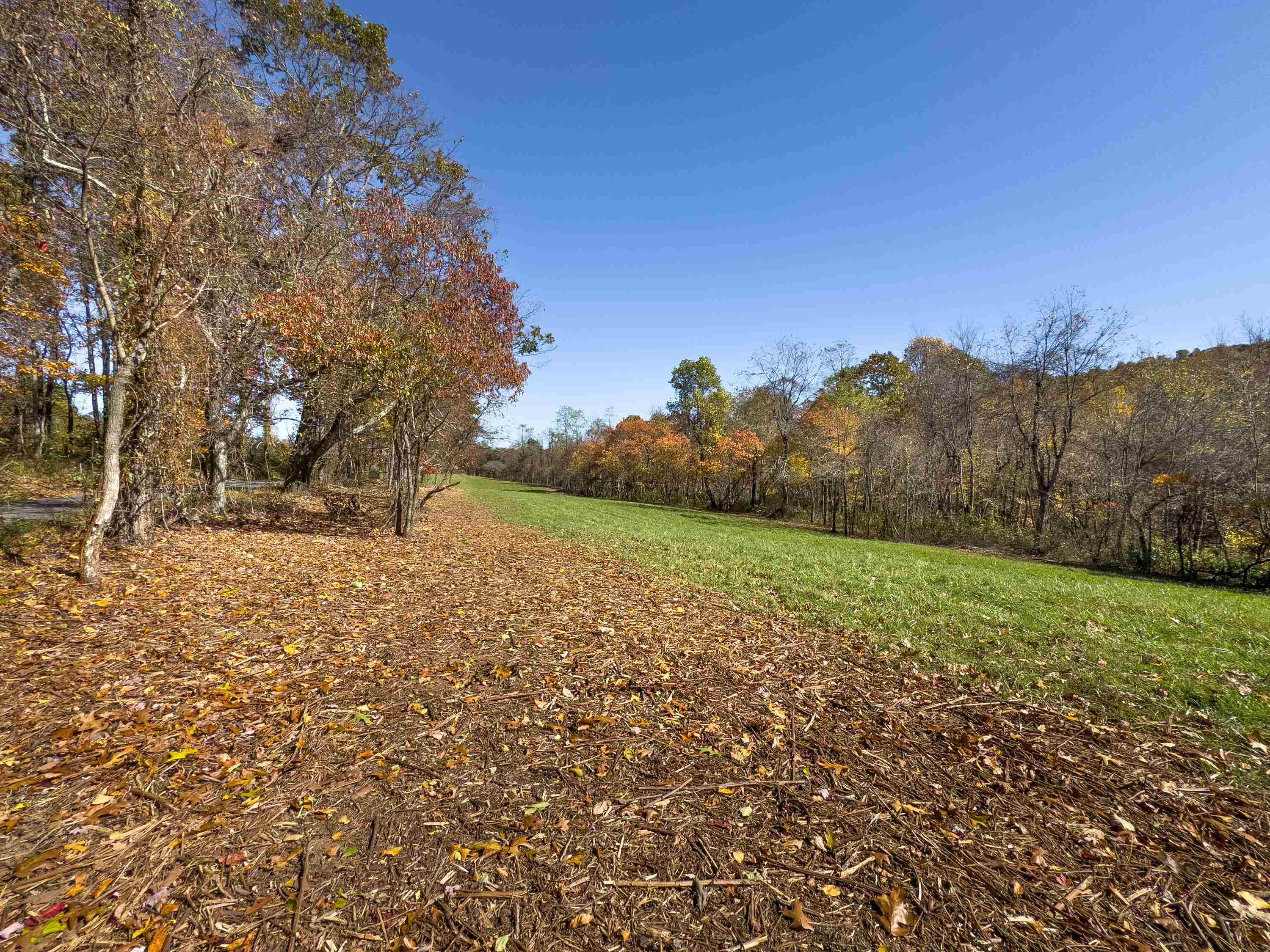 00 Belcher Mountain Road Meadows Of Dan VA 24120
