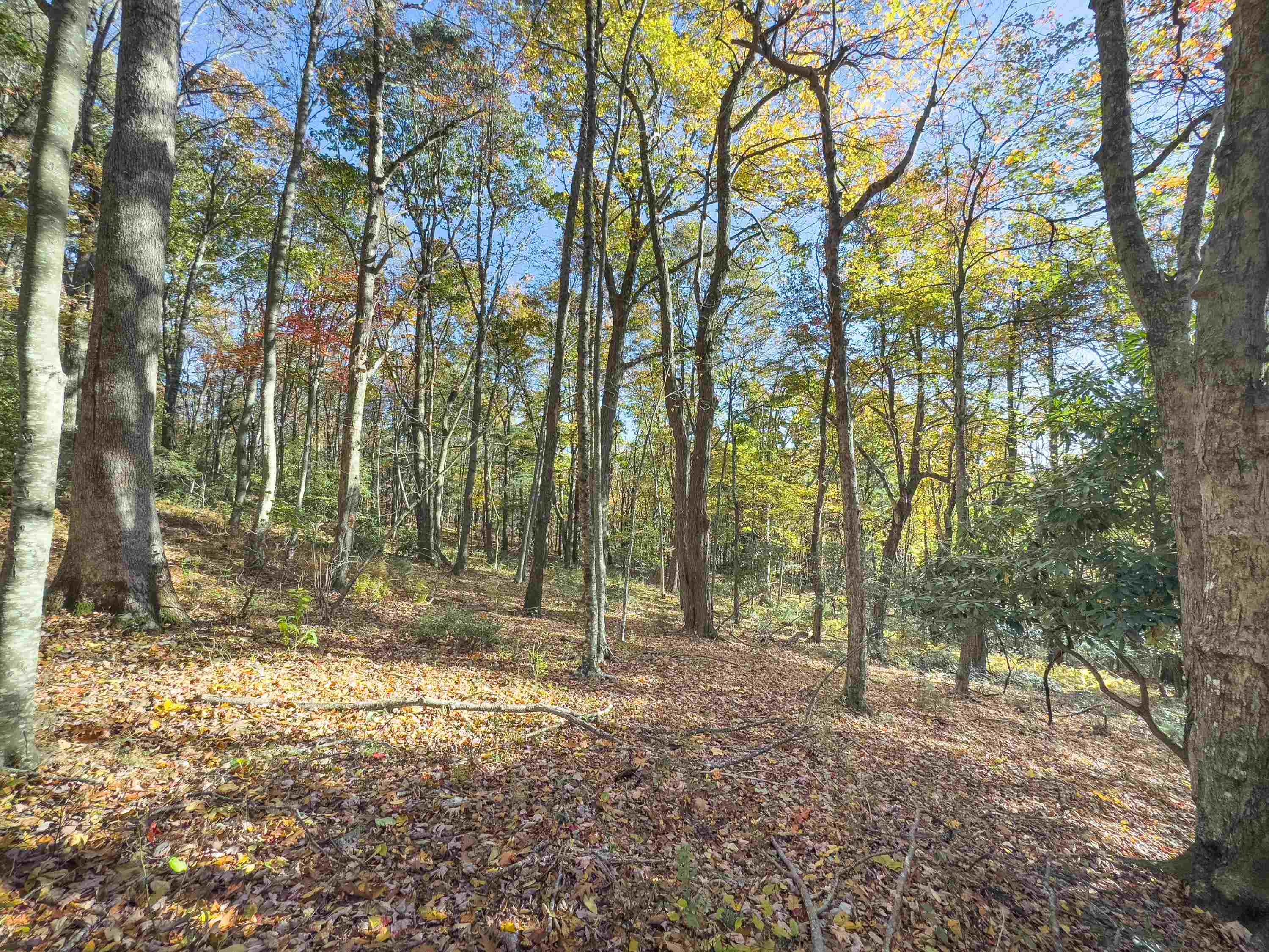 00 Belcher Mountain Road Meadows Of Dan VA 24120