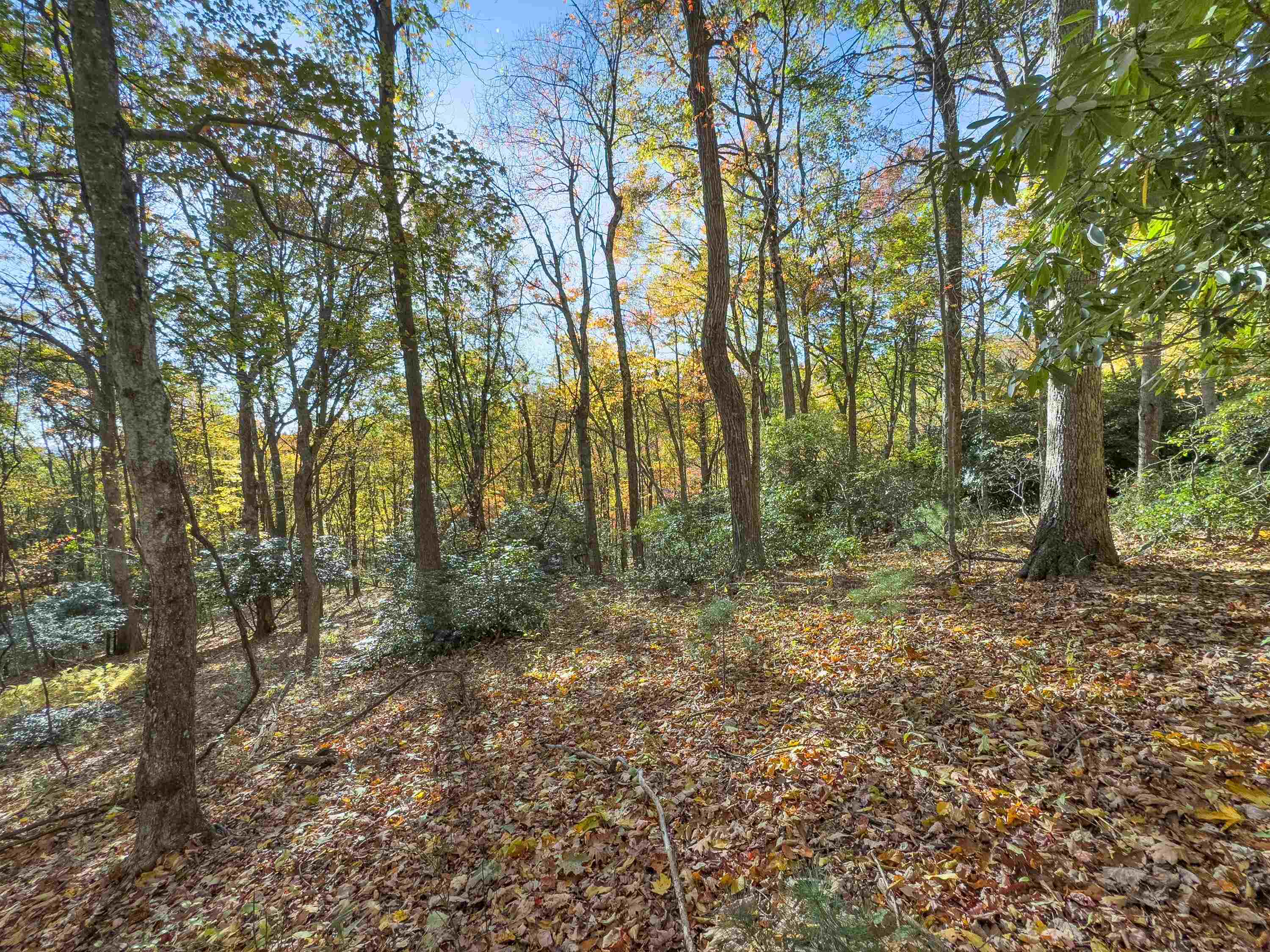 00 Belcher Mountain Road Meadows Of Dan VA 24120