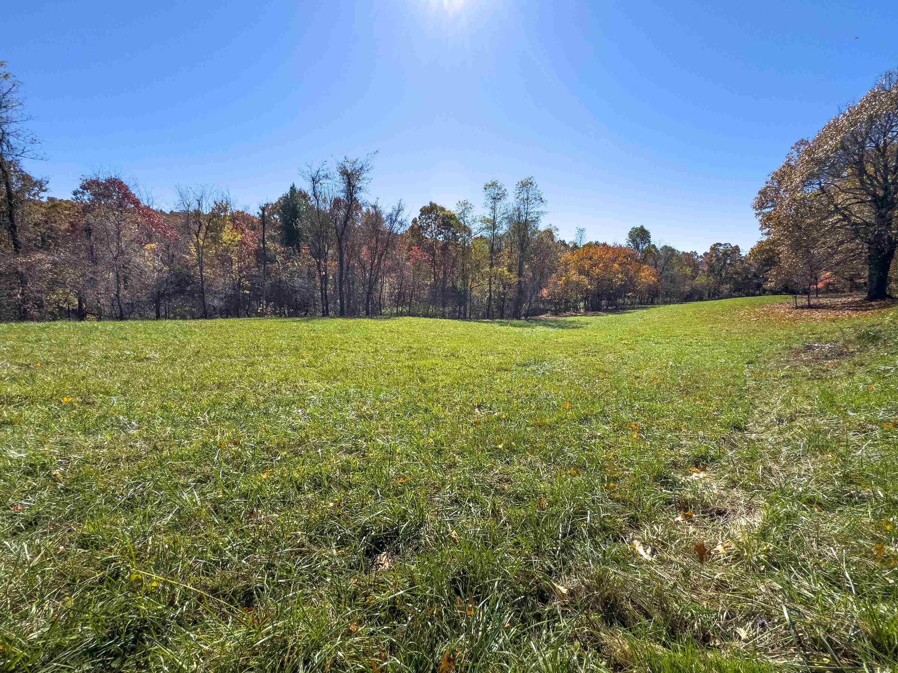 00 Belcher Mountain Road Meadows Of Dan VA 24120