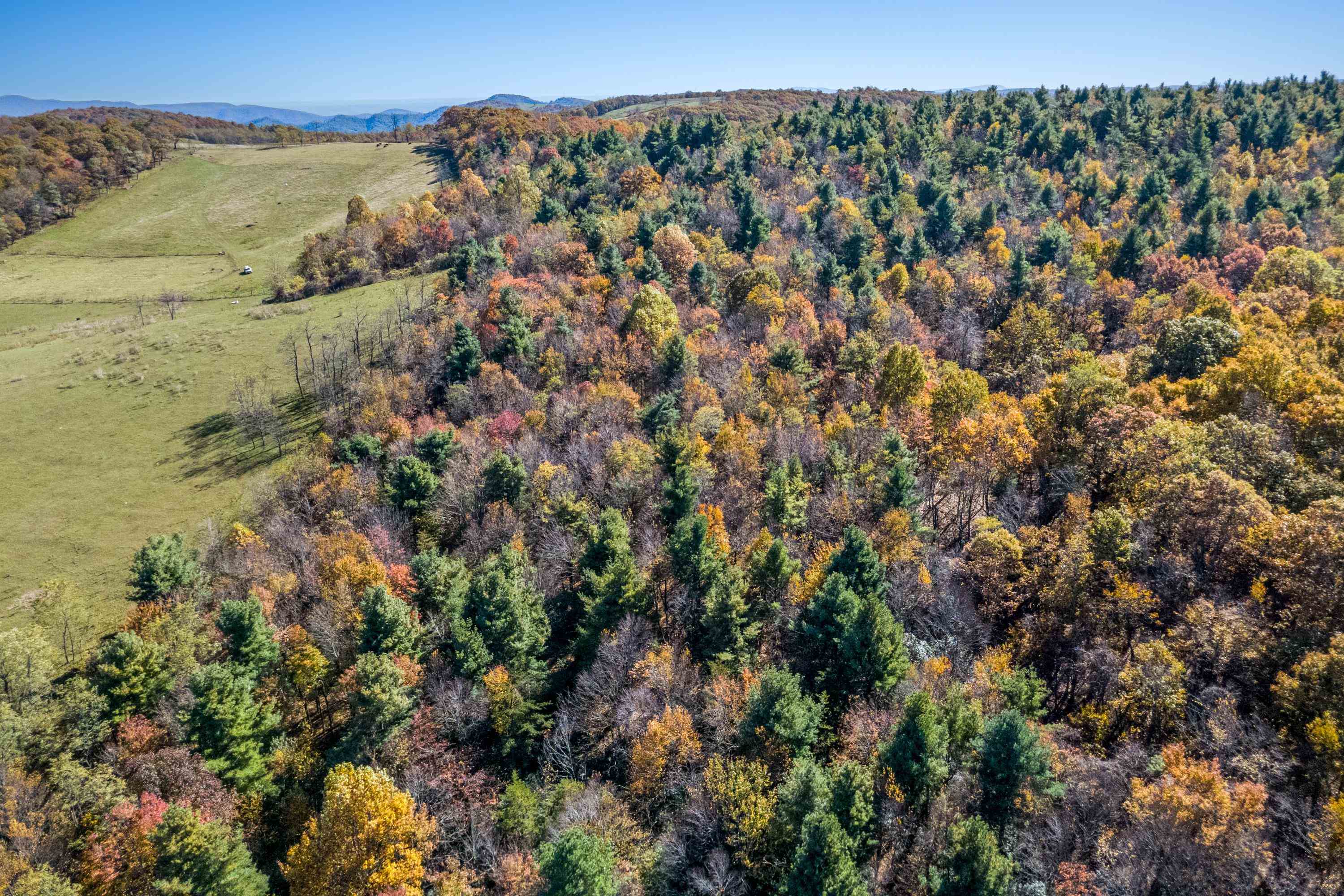 00 Belcher Mountain Road Meadows Of Dan VA 24120