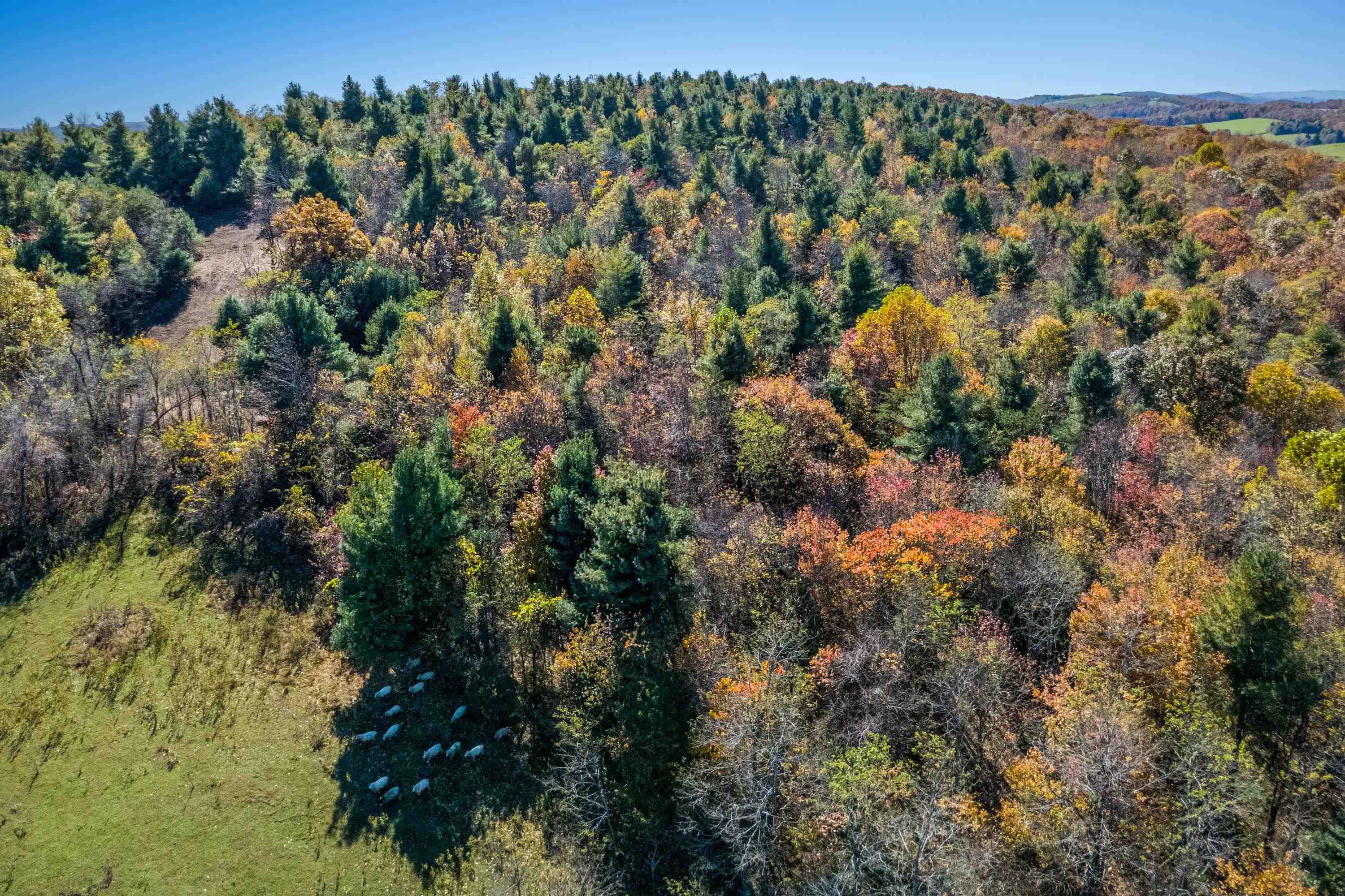 00 Belcher Mountain Road Meadows Of Dan VA 24120