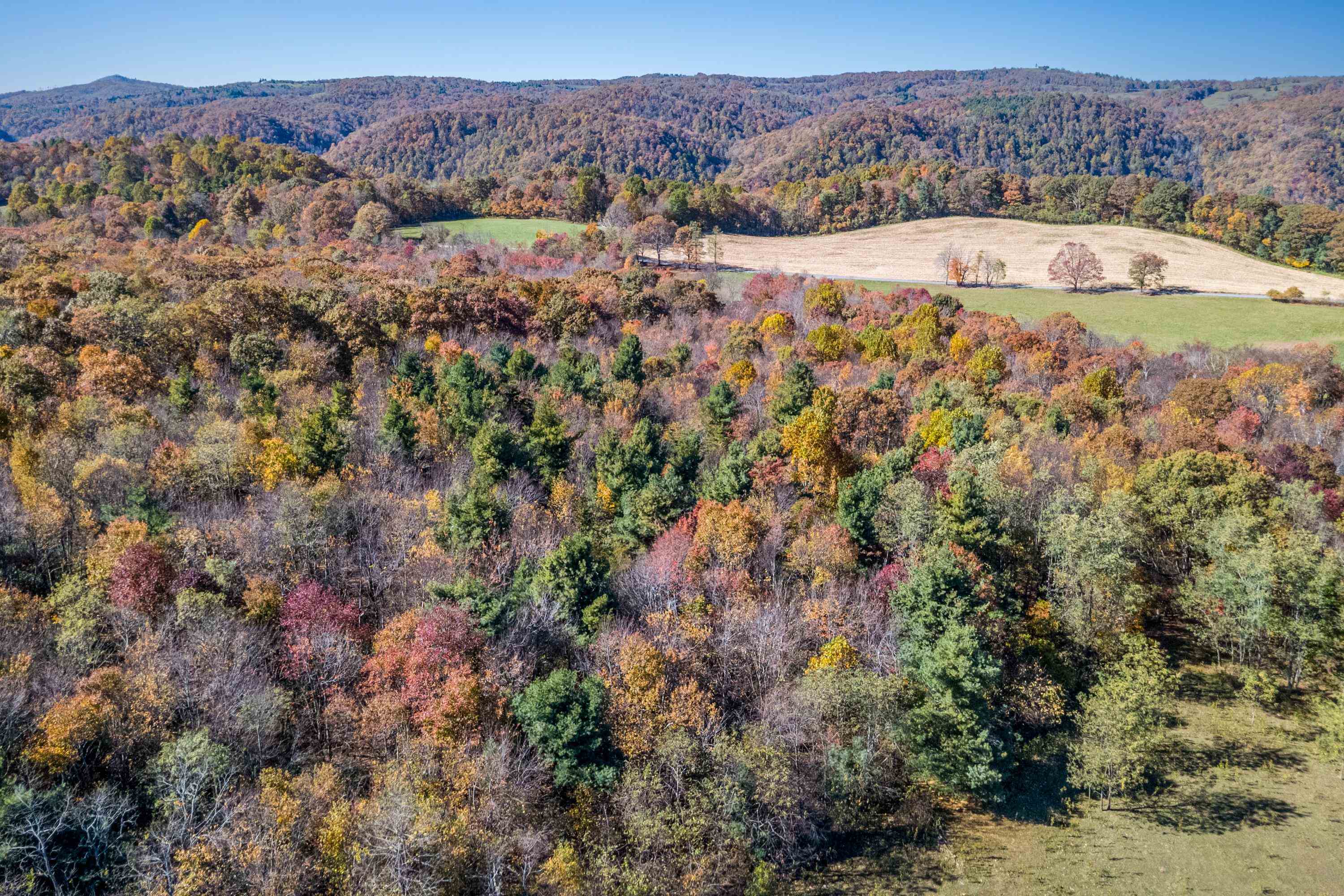 00 Belcher Mountain Road Meadows Of Dan VA 24120
