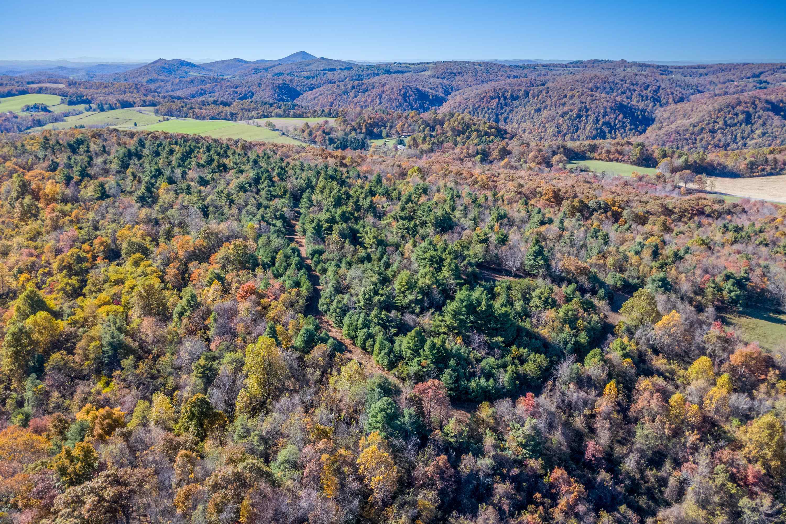 00 Belcher Mountain Road Meadows Of Dan VA 24120