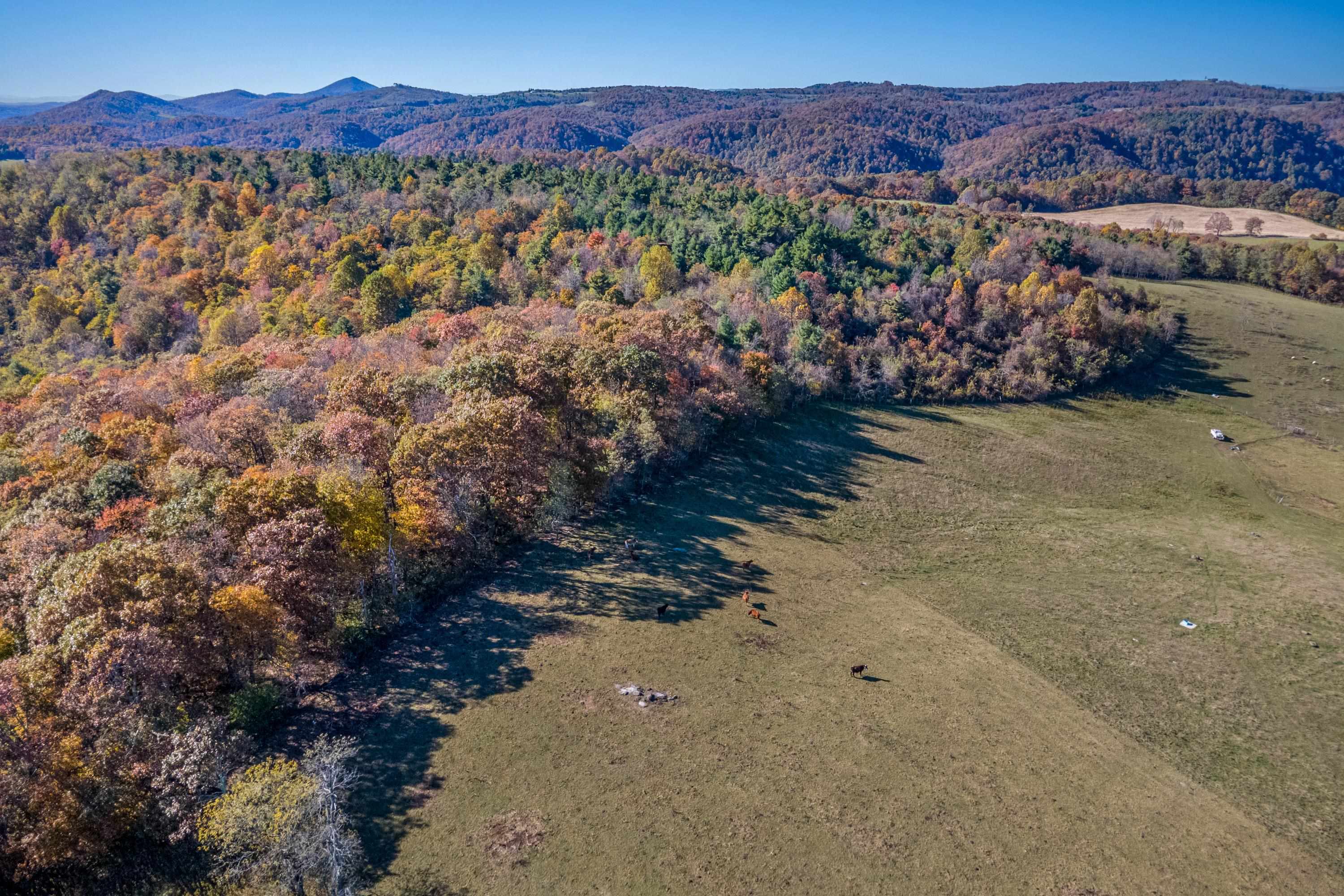 00 Belcher Mountain Road Meadows Of Dan VA 24120