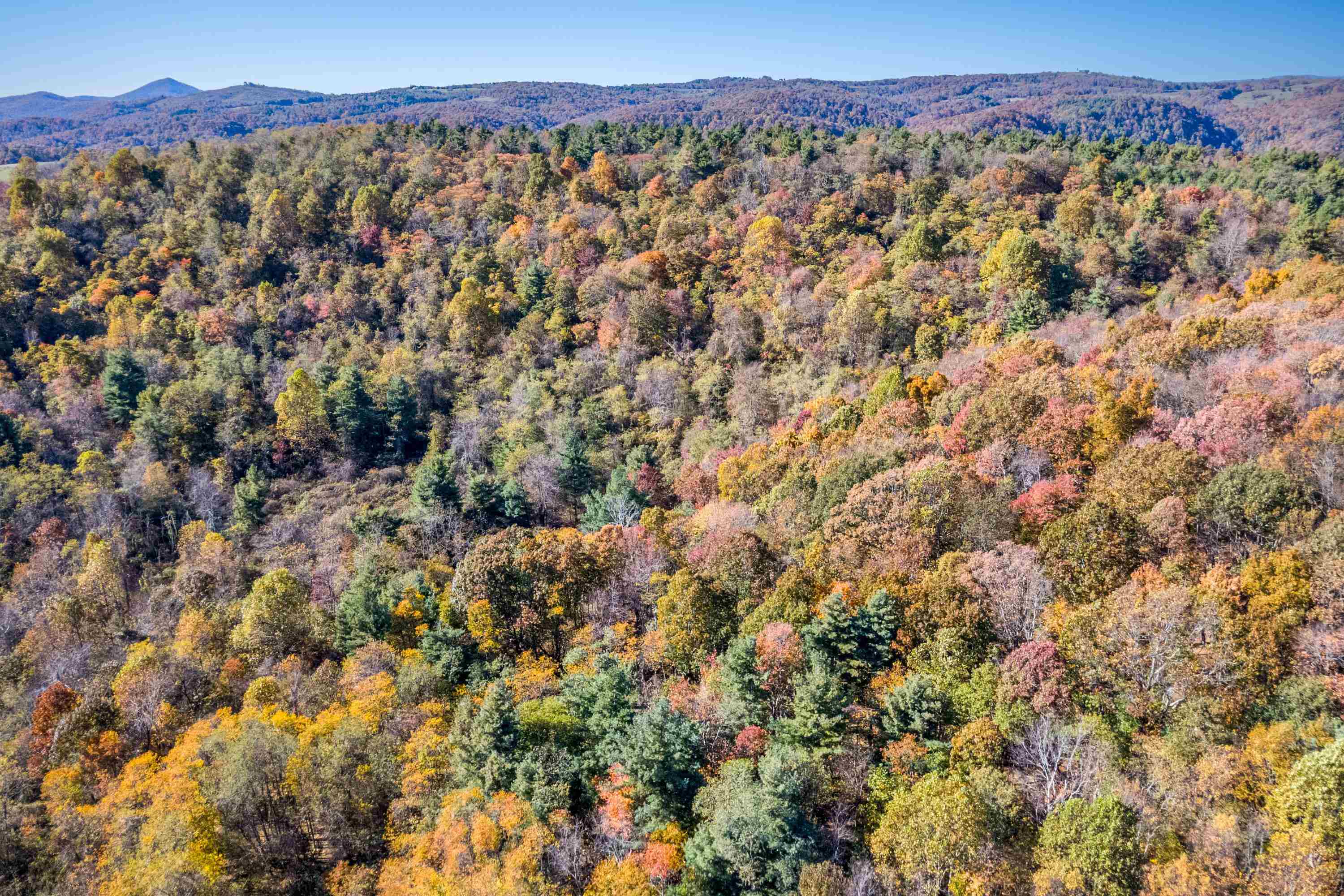 00 Belcher Mountain Road Meadows Of Dan VA 24120