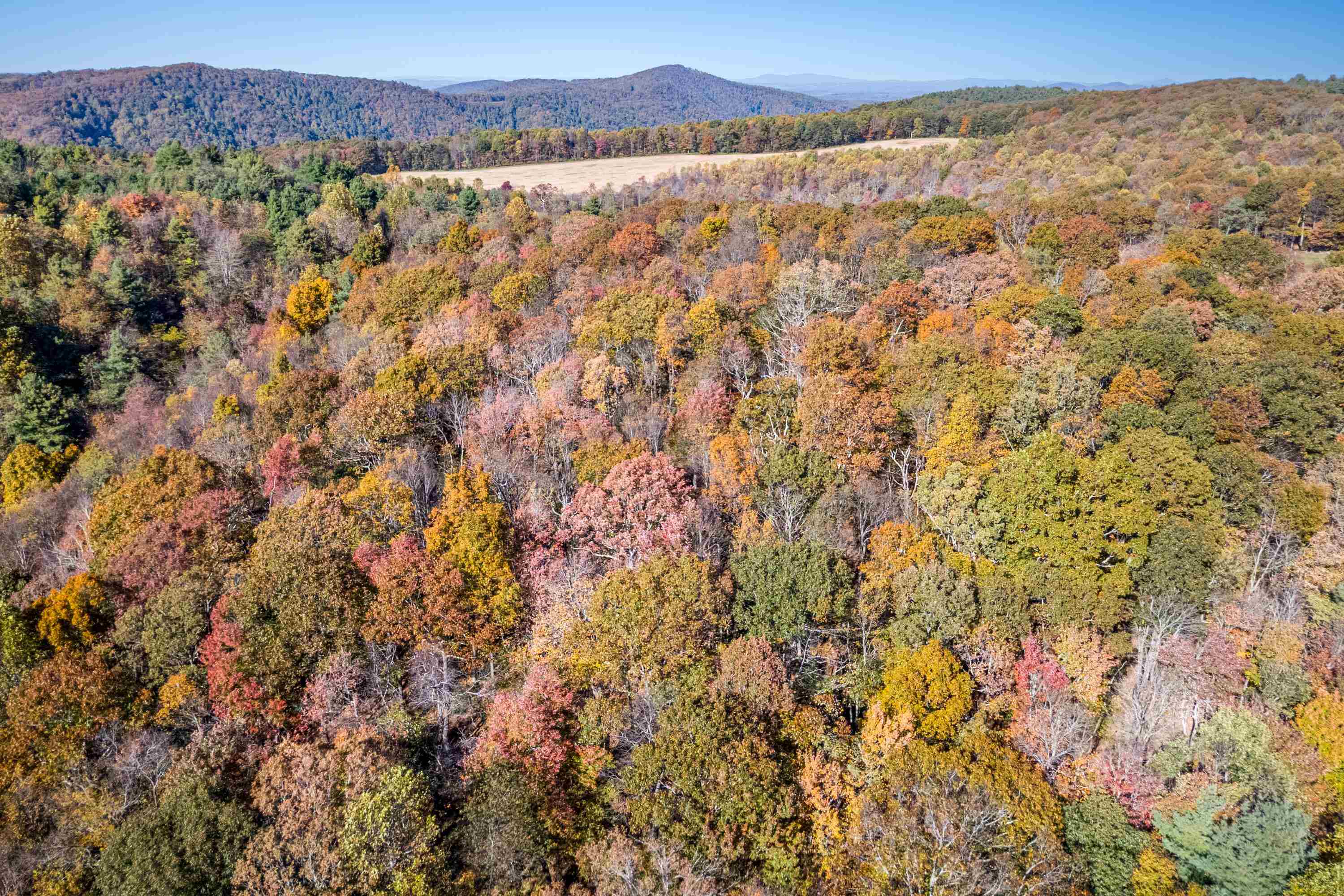 00 Belcher Mountain Road Meadows Of Dan VA 24120