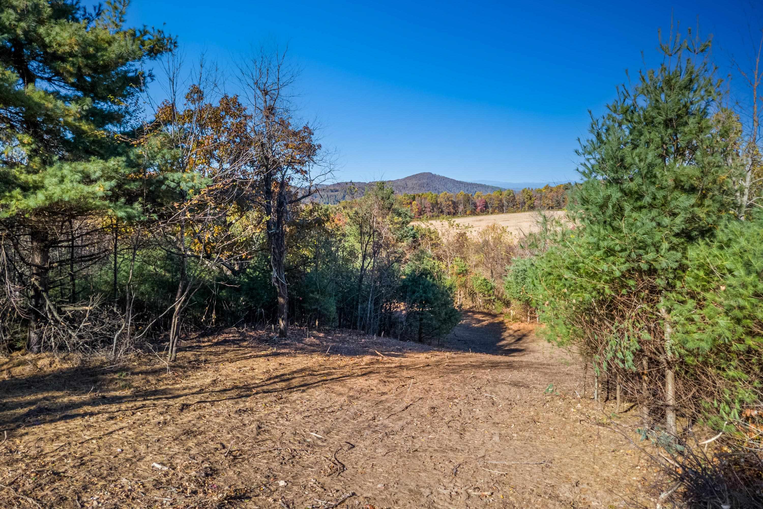 00 Belcher Mountain Road Meadows Of Dan VA 24120