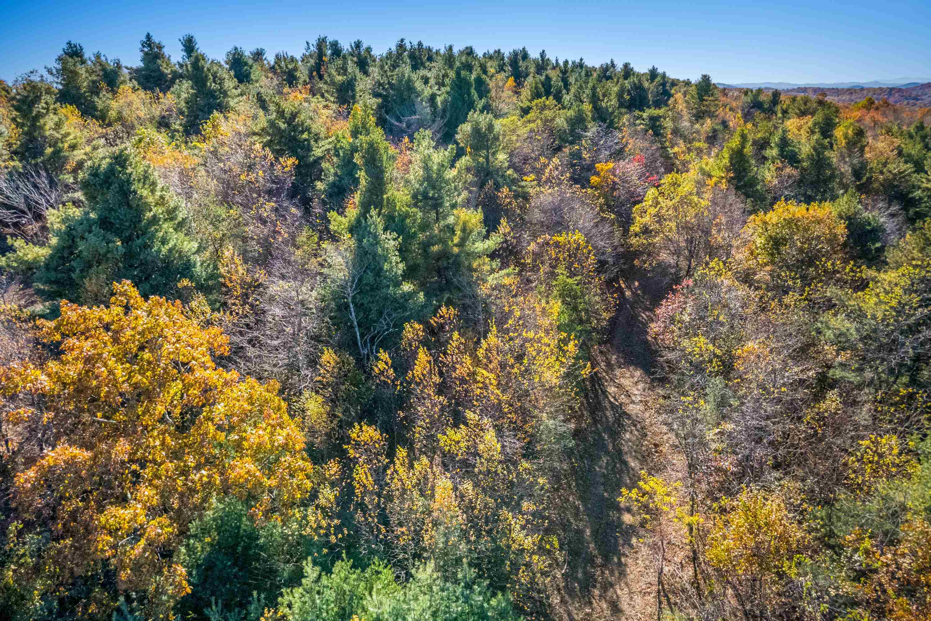 00 Belcher Mountain Road Meadows Of Dan VA 24120