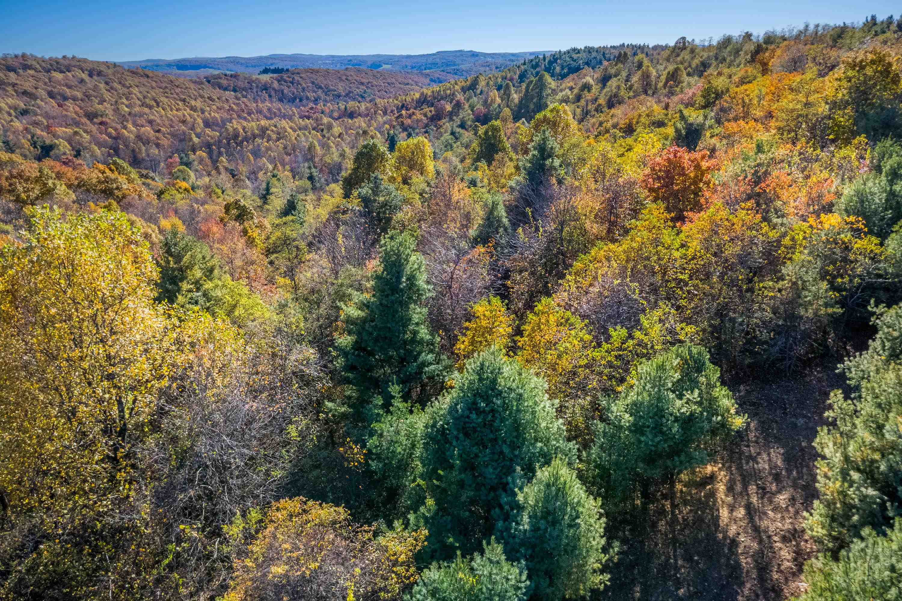 00 Belcher Mountain Road Meadows Of Dan VA 24120