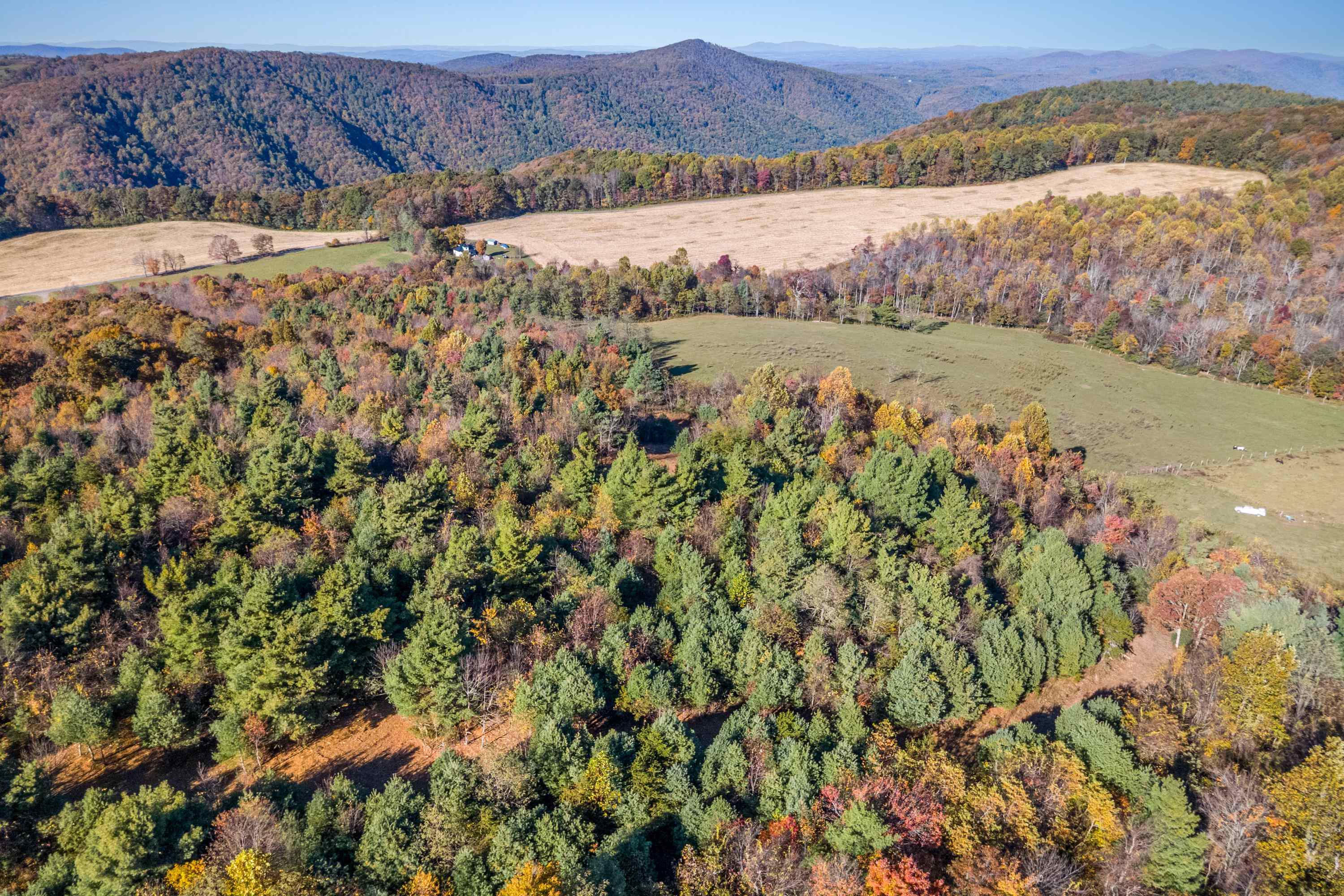 00 Belcher Mountain Road Meadows Of Dan VA 24120
