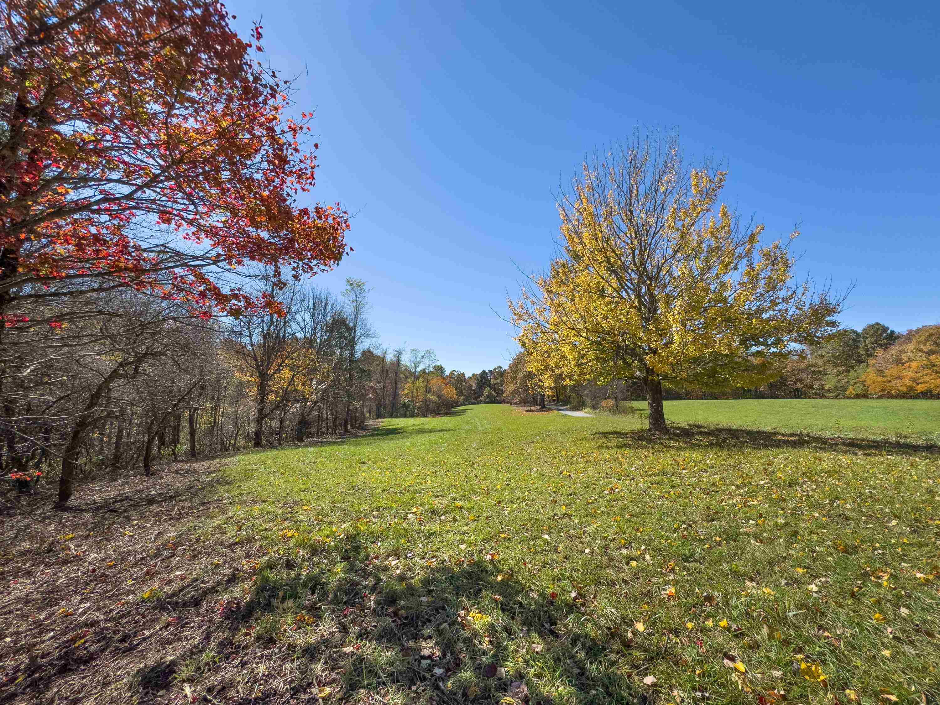 00 Belcher Mountain Road Meadows Of Dan VA 24120