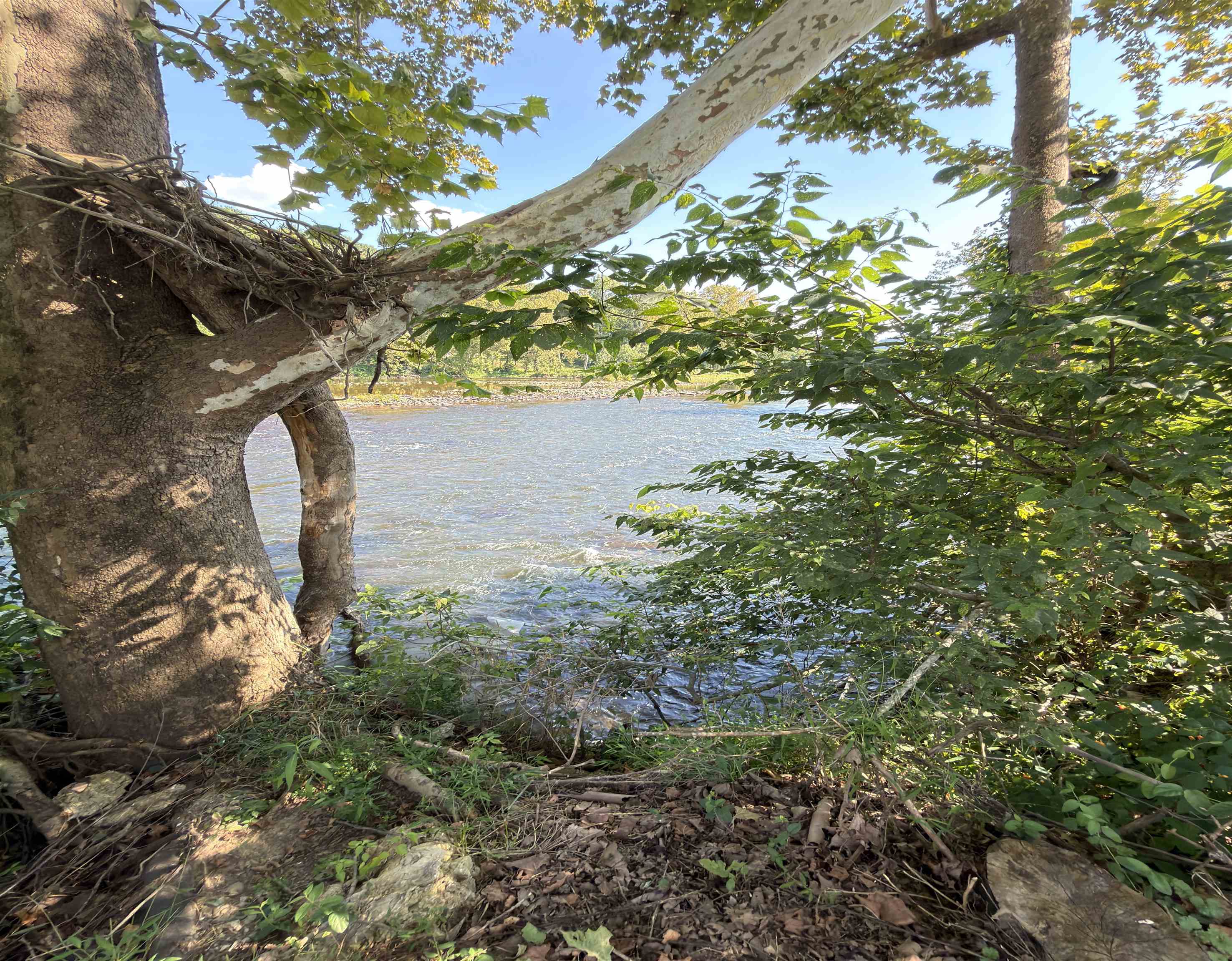 496 Shady River Drive Ivanhoe VA 24350
