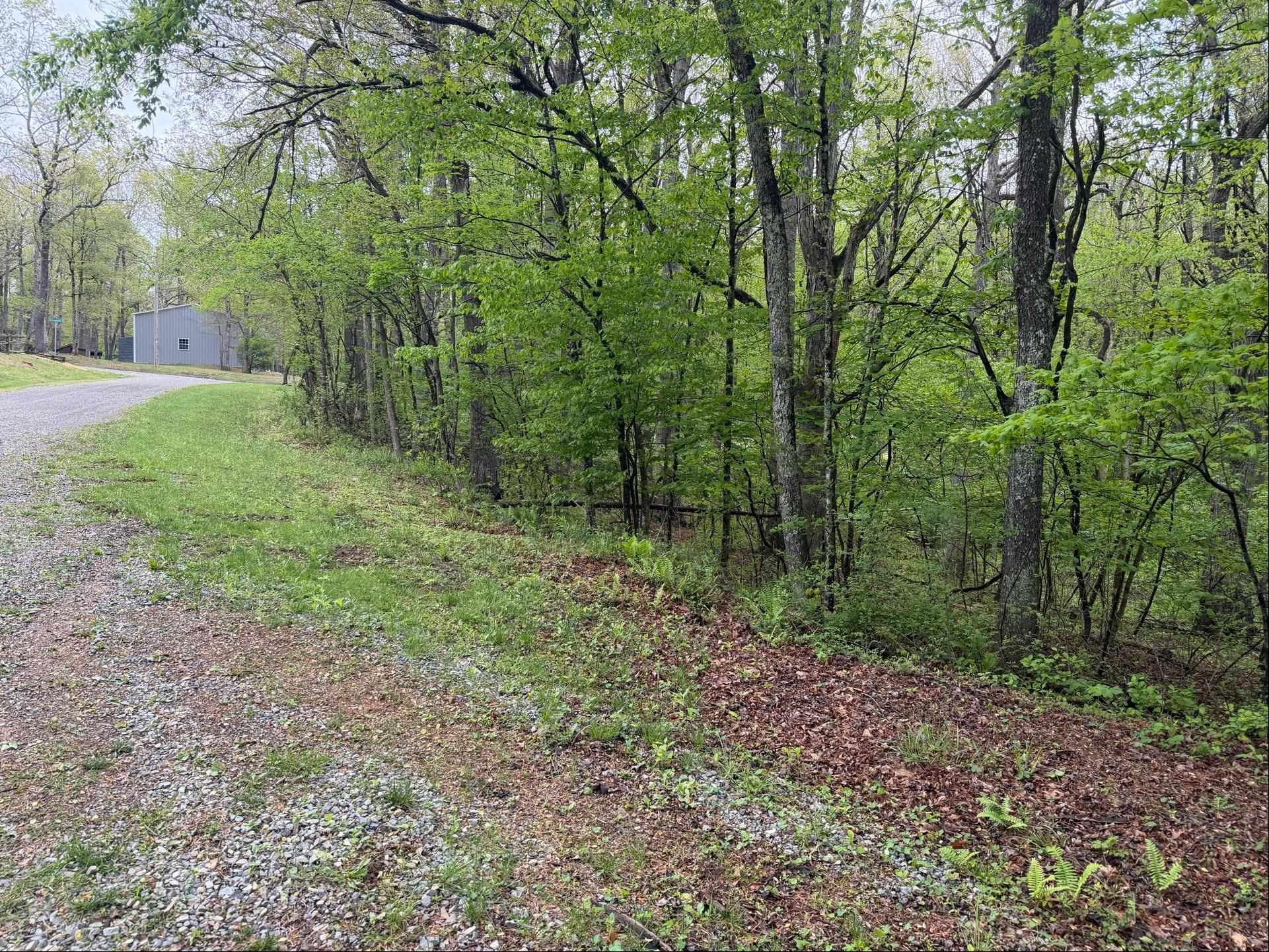 0 Pin Oak Lane SE Copper Hill VA 24079