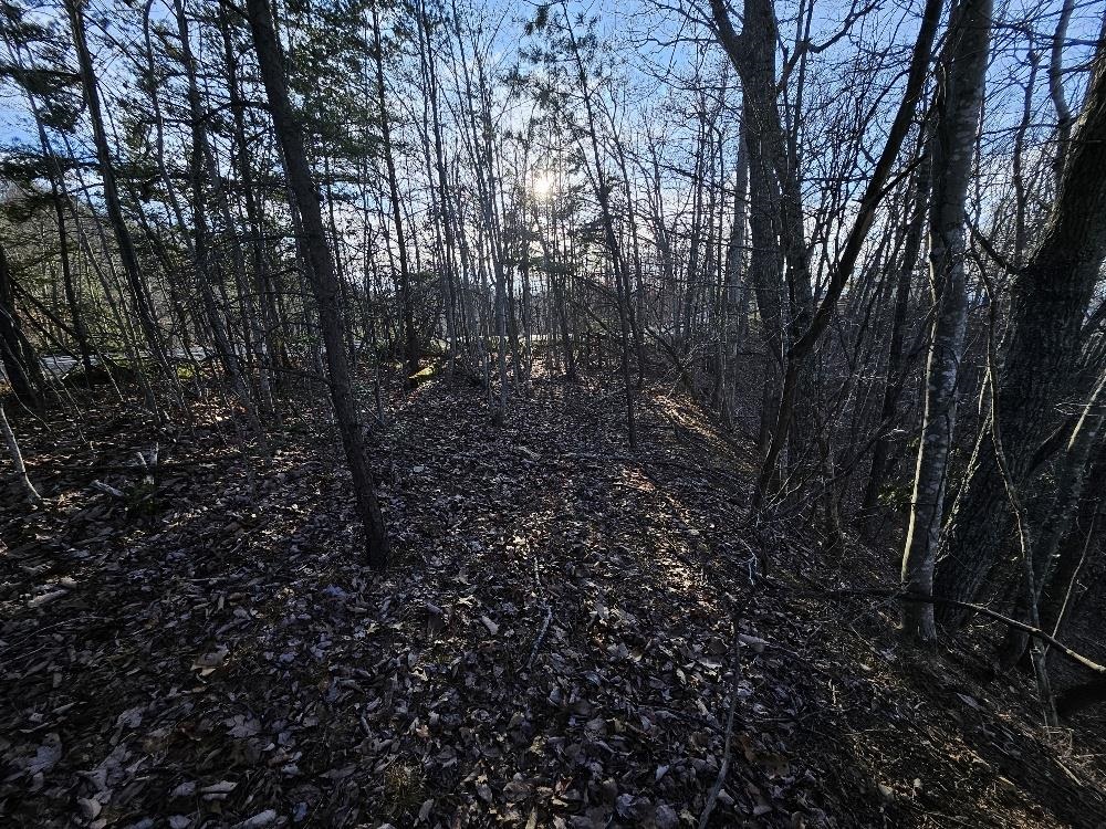 Tbd Hermosa Drive Pulaski VA 24301