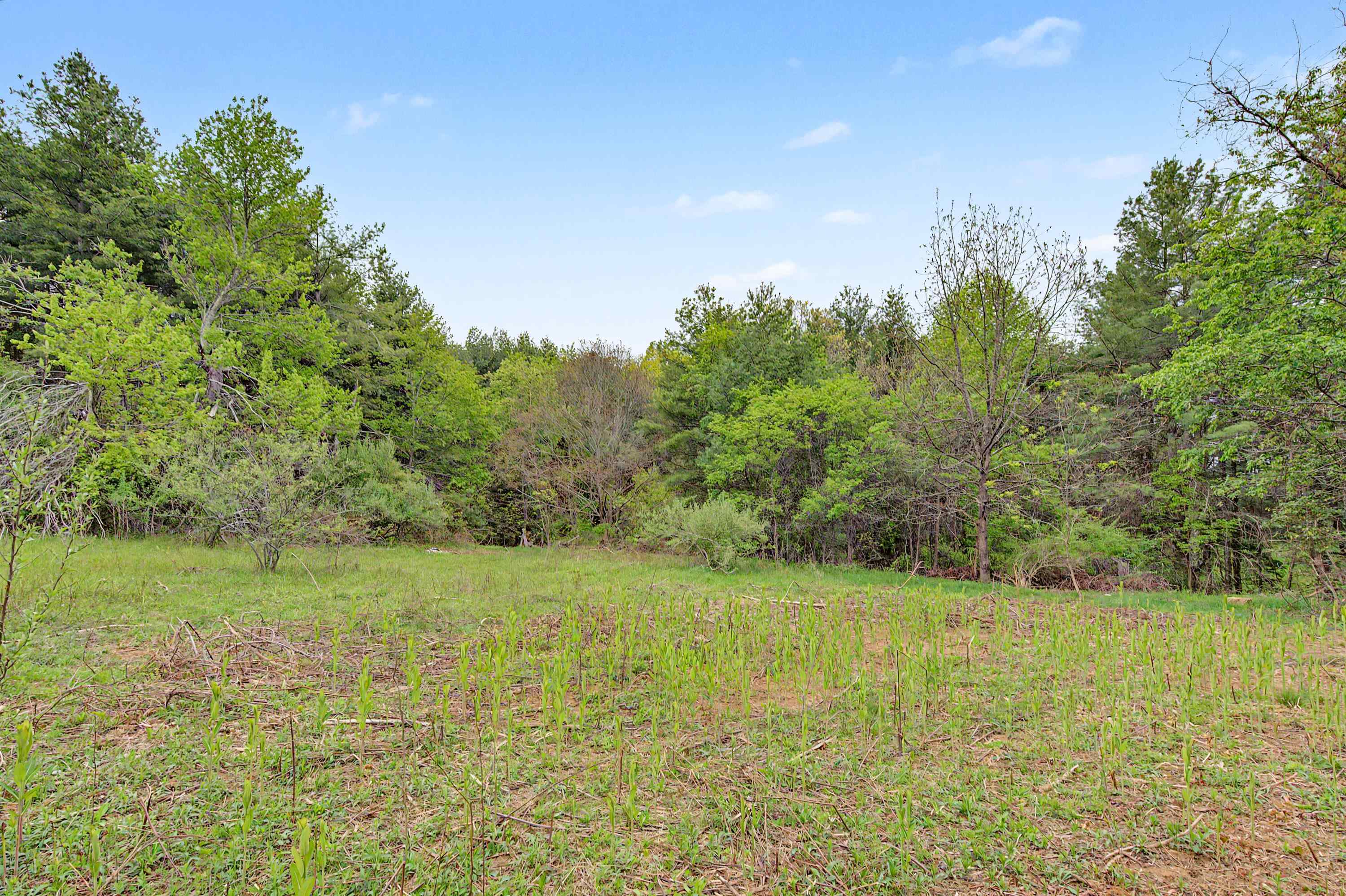 3.736 Ac Rocky Hill Road Willis VA 24380