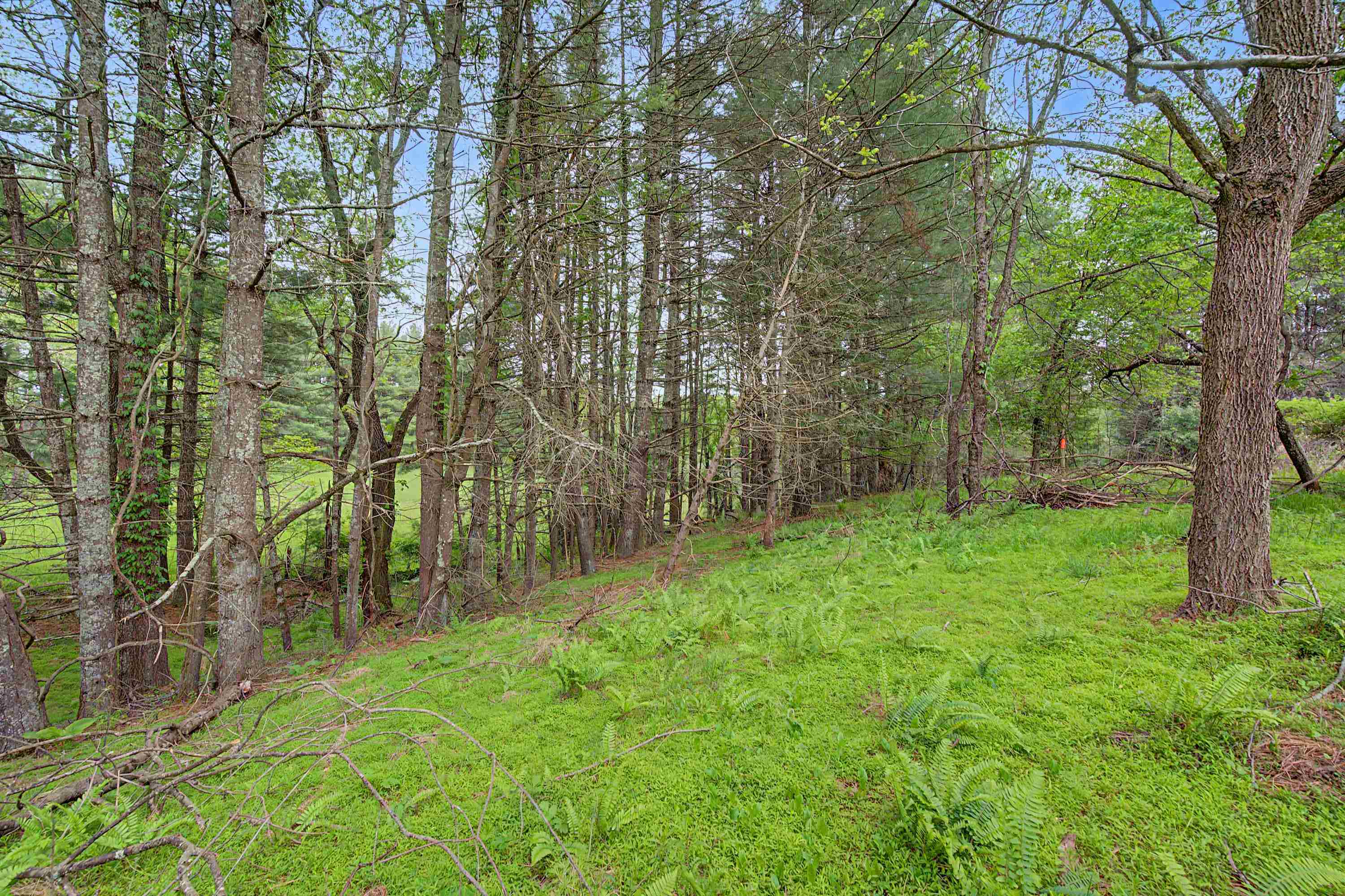 3.736 Ac Rocky Hill Road Willis VA 24380