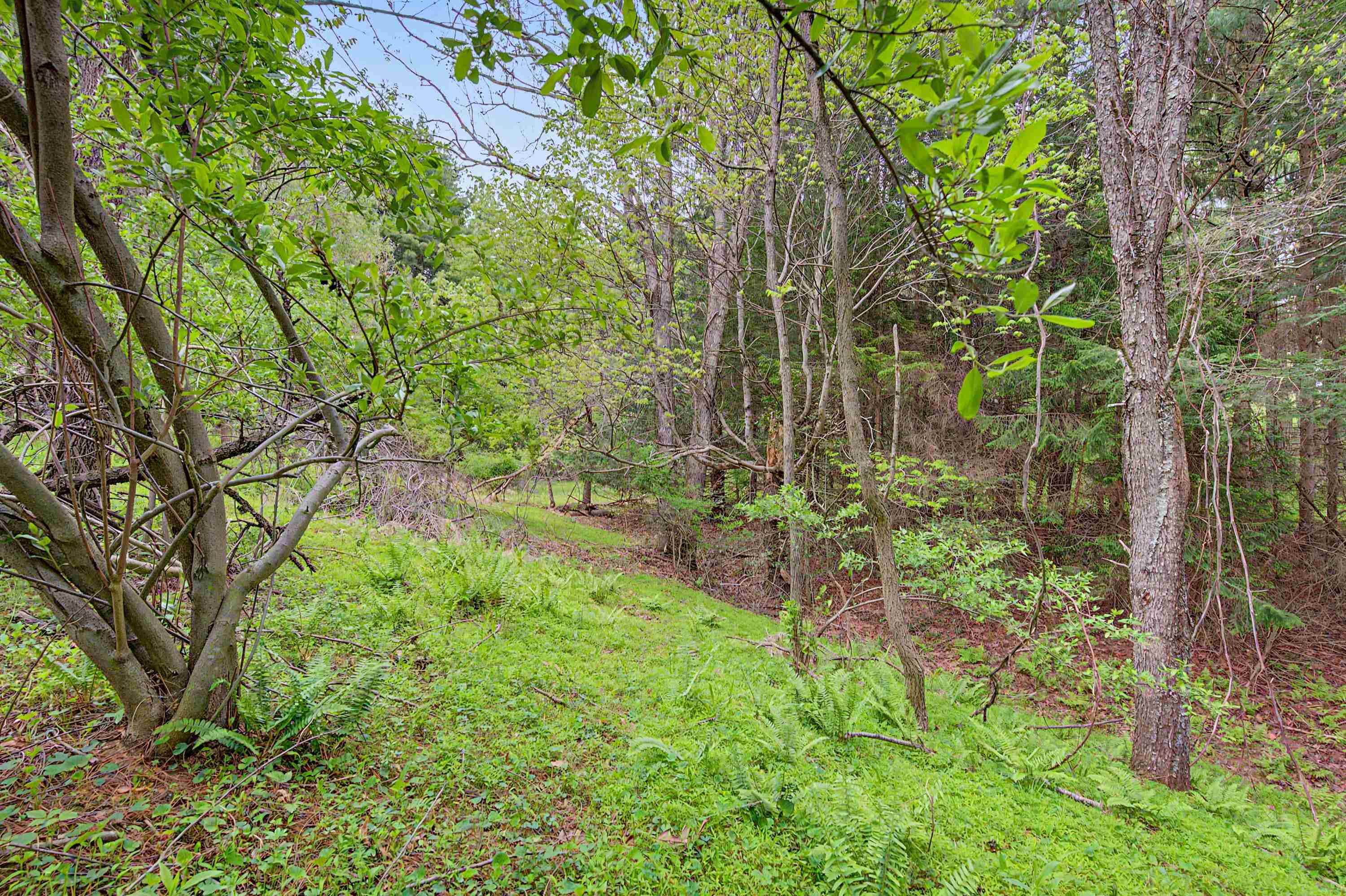 3.736 Ac Rocky Hill Road Willis VA 24380