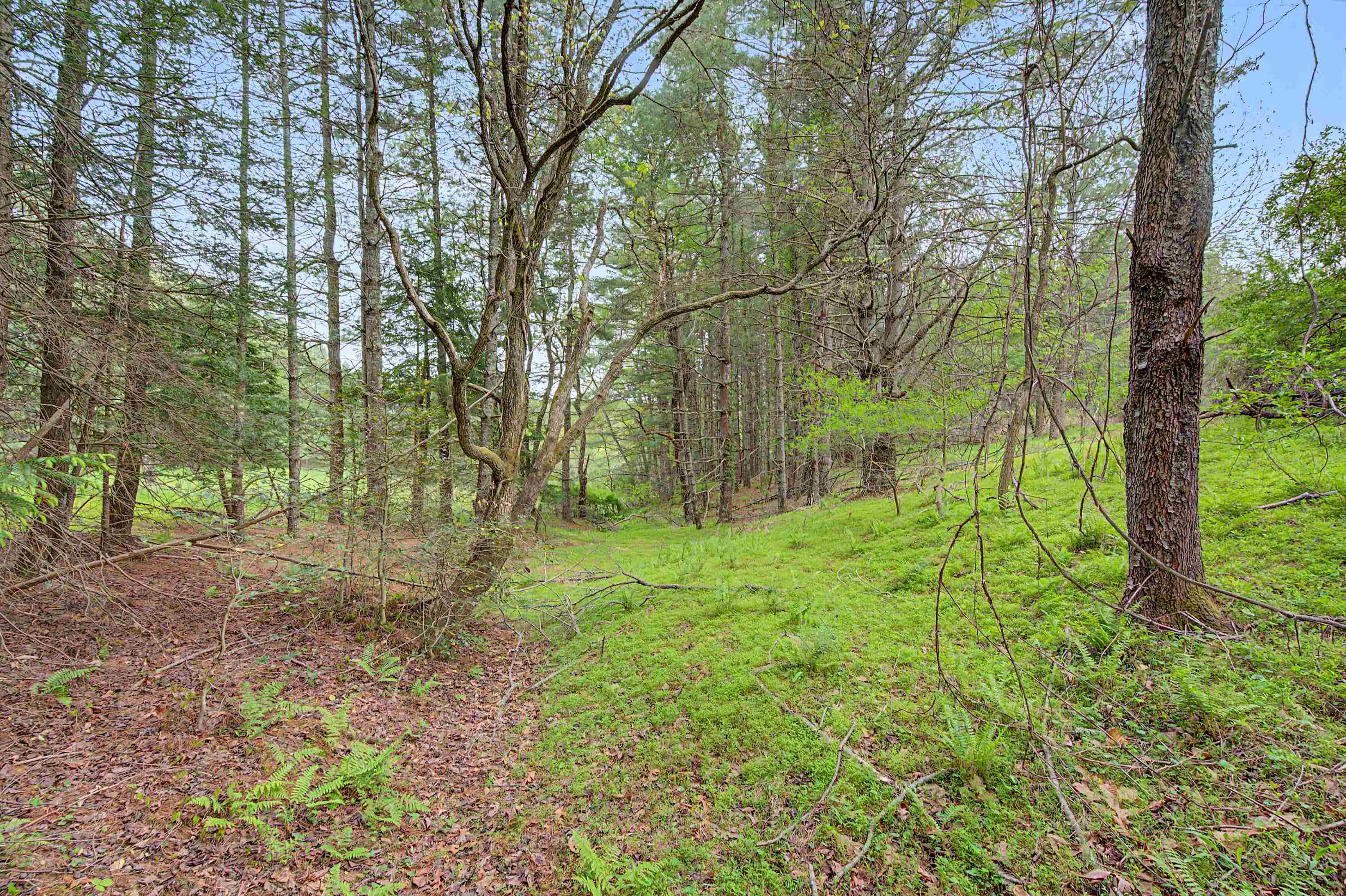 3.736 Ac Rocky Hill Road Willis VA 24380