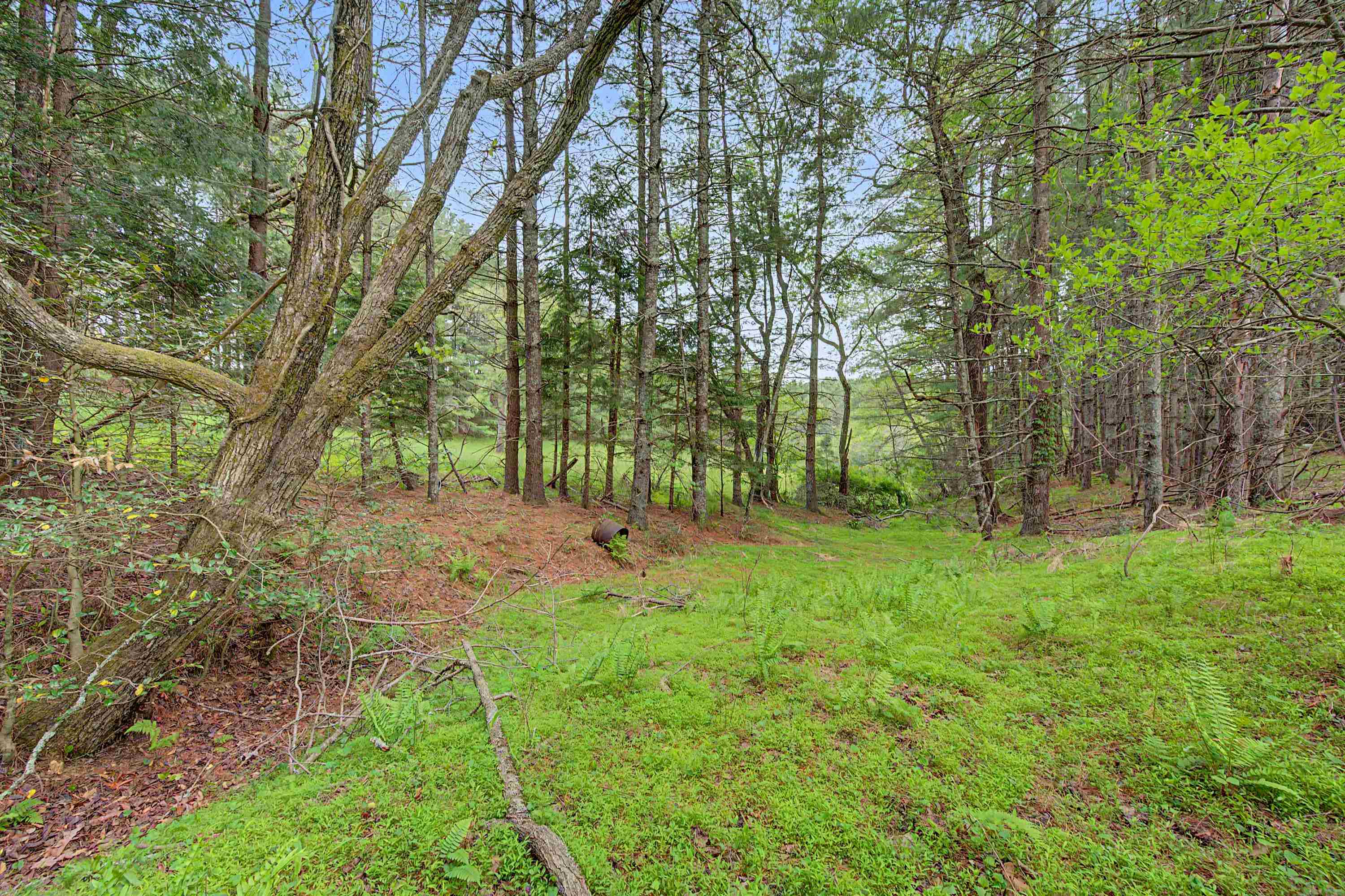 3.736 Ac Rocky Hill Road Willis VA 24380