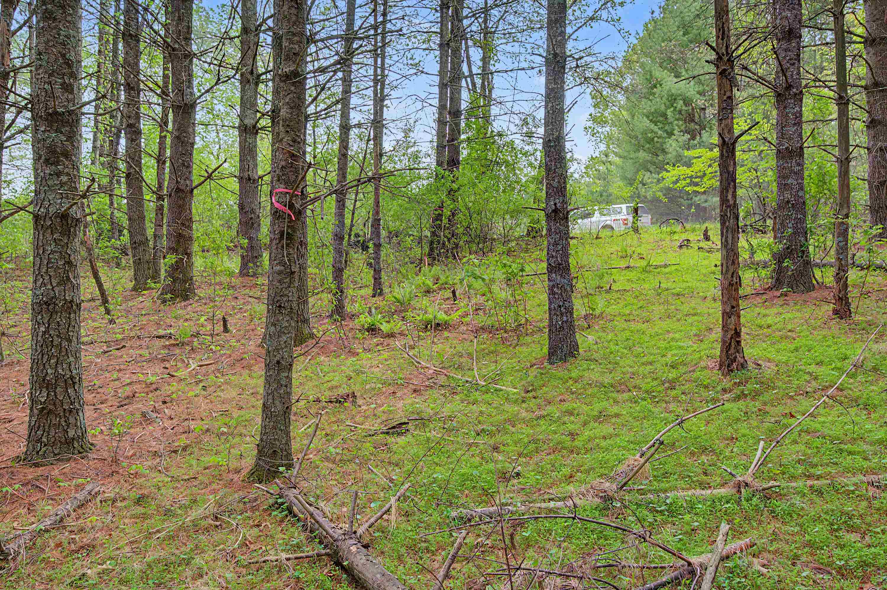 3.736 Ac Rocky Hill Road Willis VA 24380