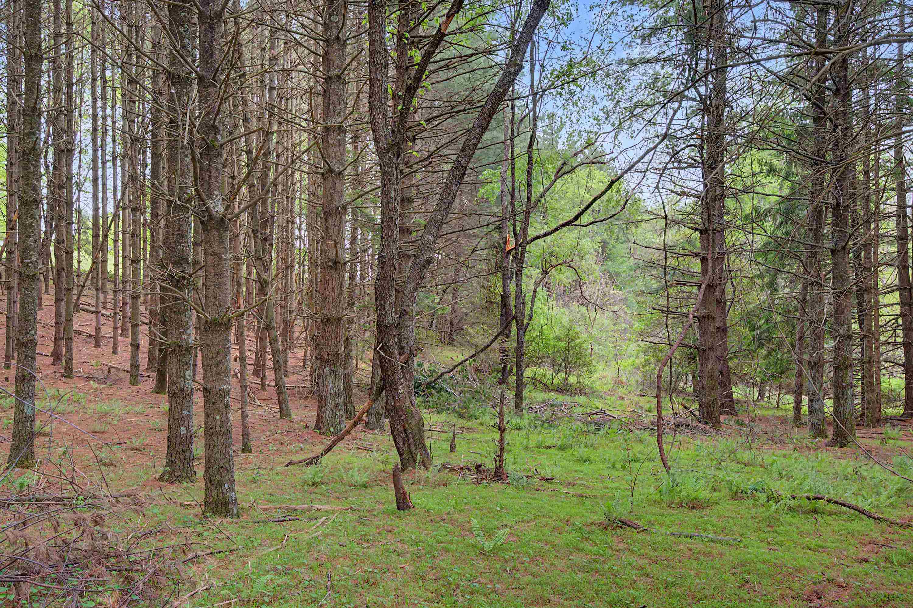 3.736 Ac Rocky Hill Road Willis VA 24380
