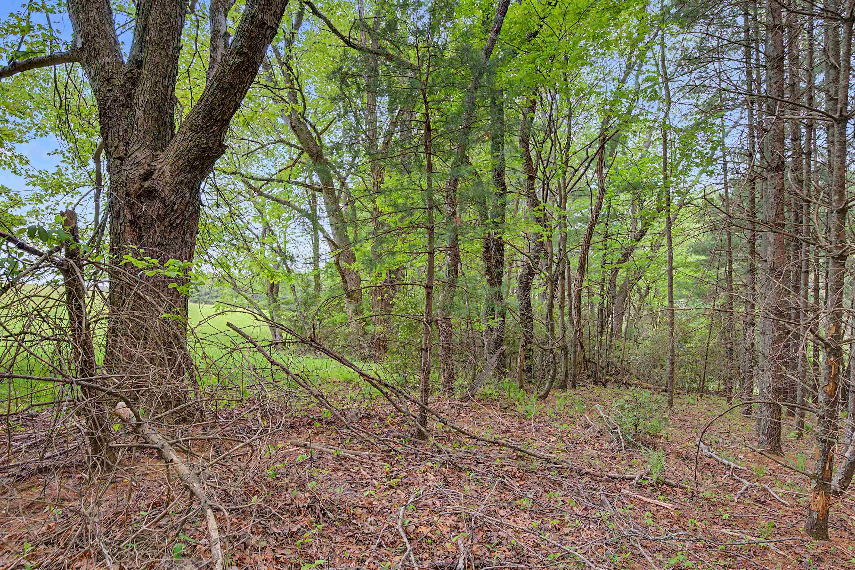 3.736 Ac Rocky Hill Road Willis VA 24380